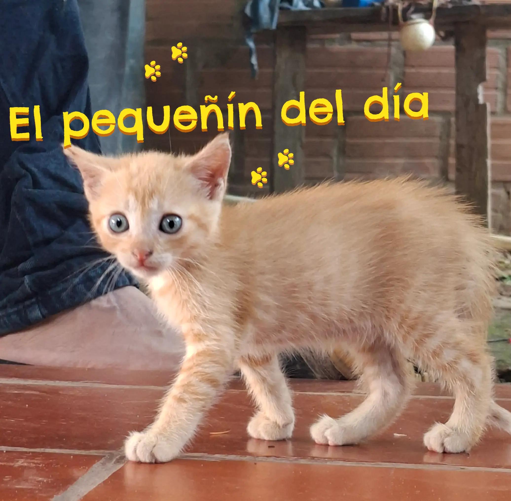 @edkas😍🥰