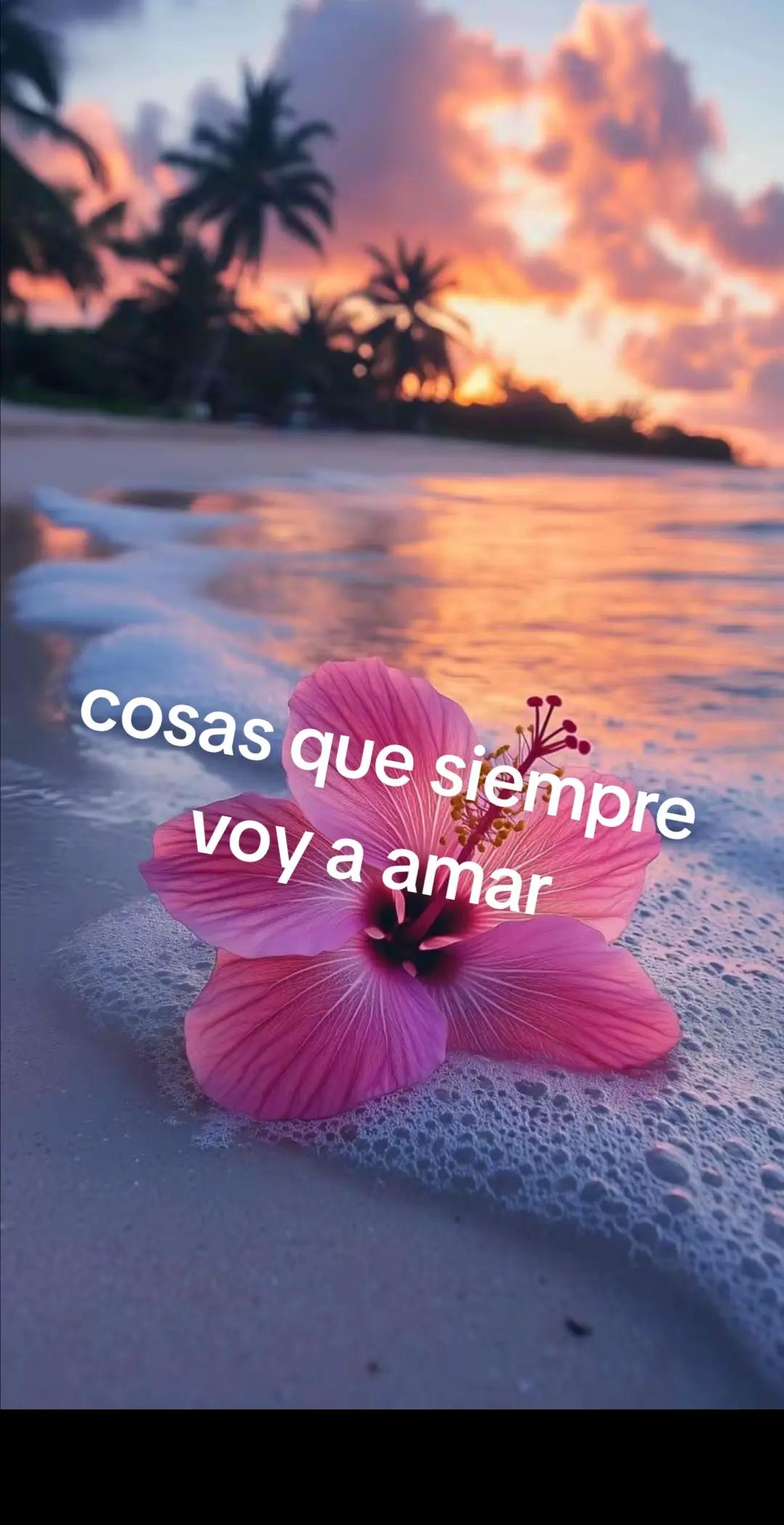 @✰𝕗𝕖𝕣𝕟𝕒𝕟𝕕𝕒 𝕝𝕝𝕒𝕟𝕒✰