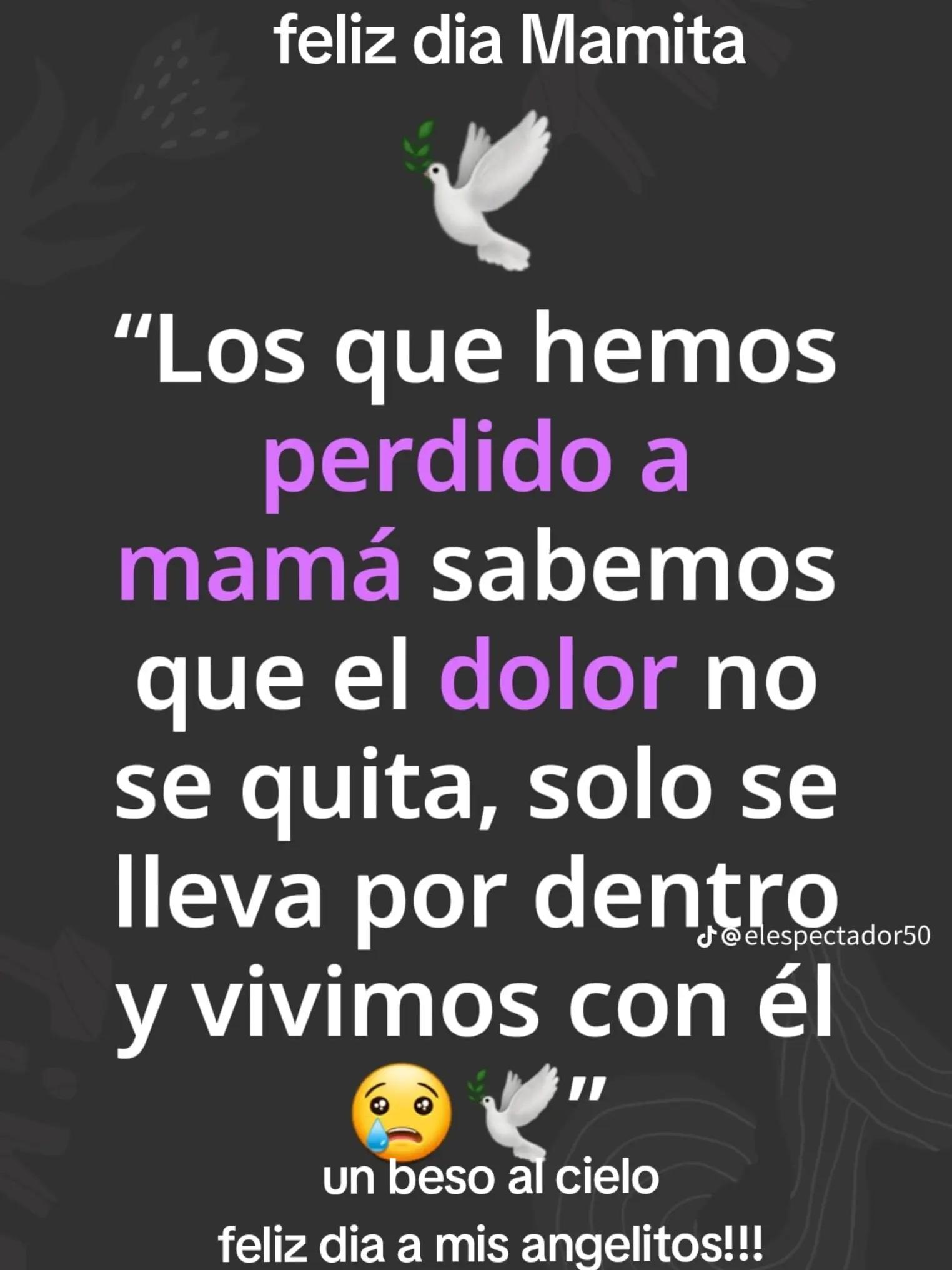 @el shavi
