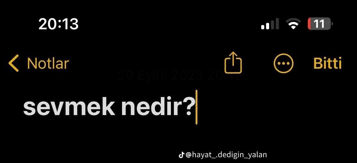 @Merve Tezcan