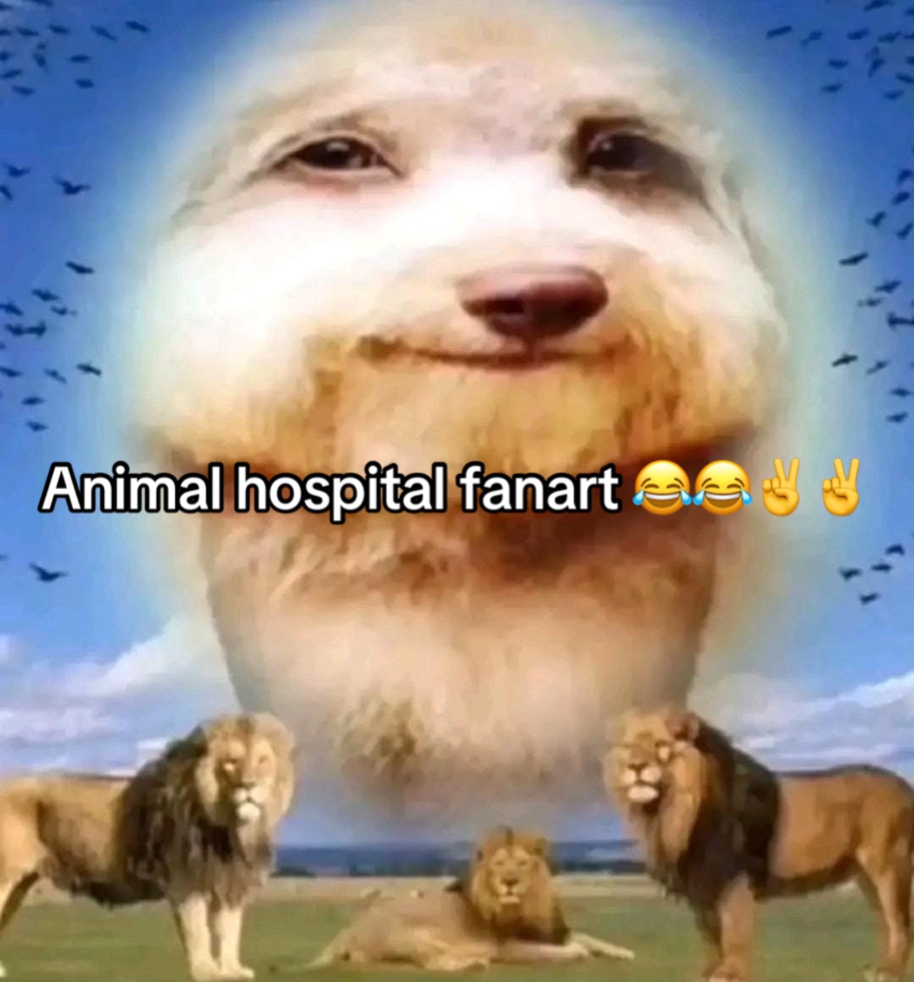 @๐ฝ๐๐๐๐๐๐ โห๊ฉ.แ