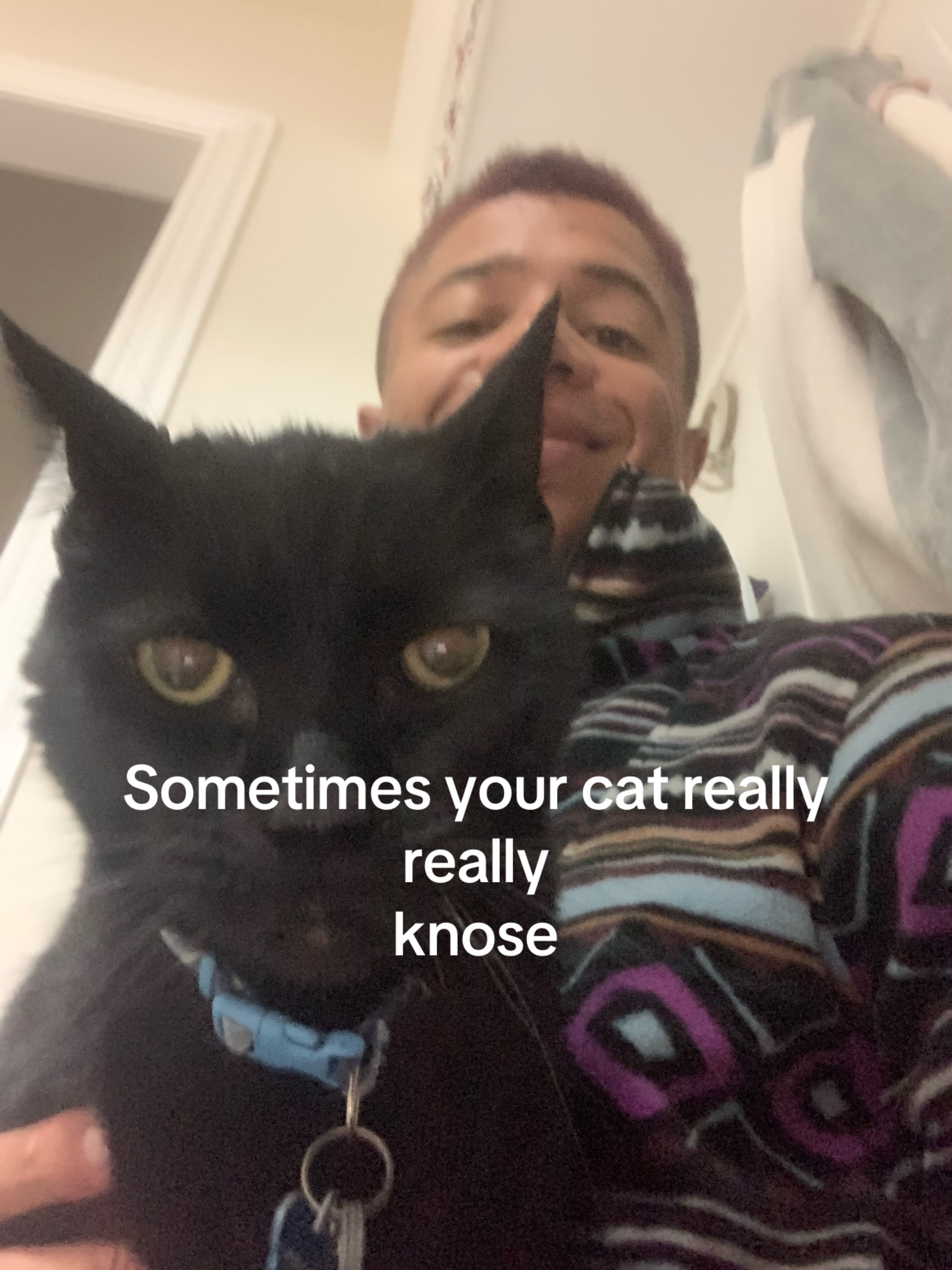 @peakunc