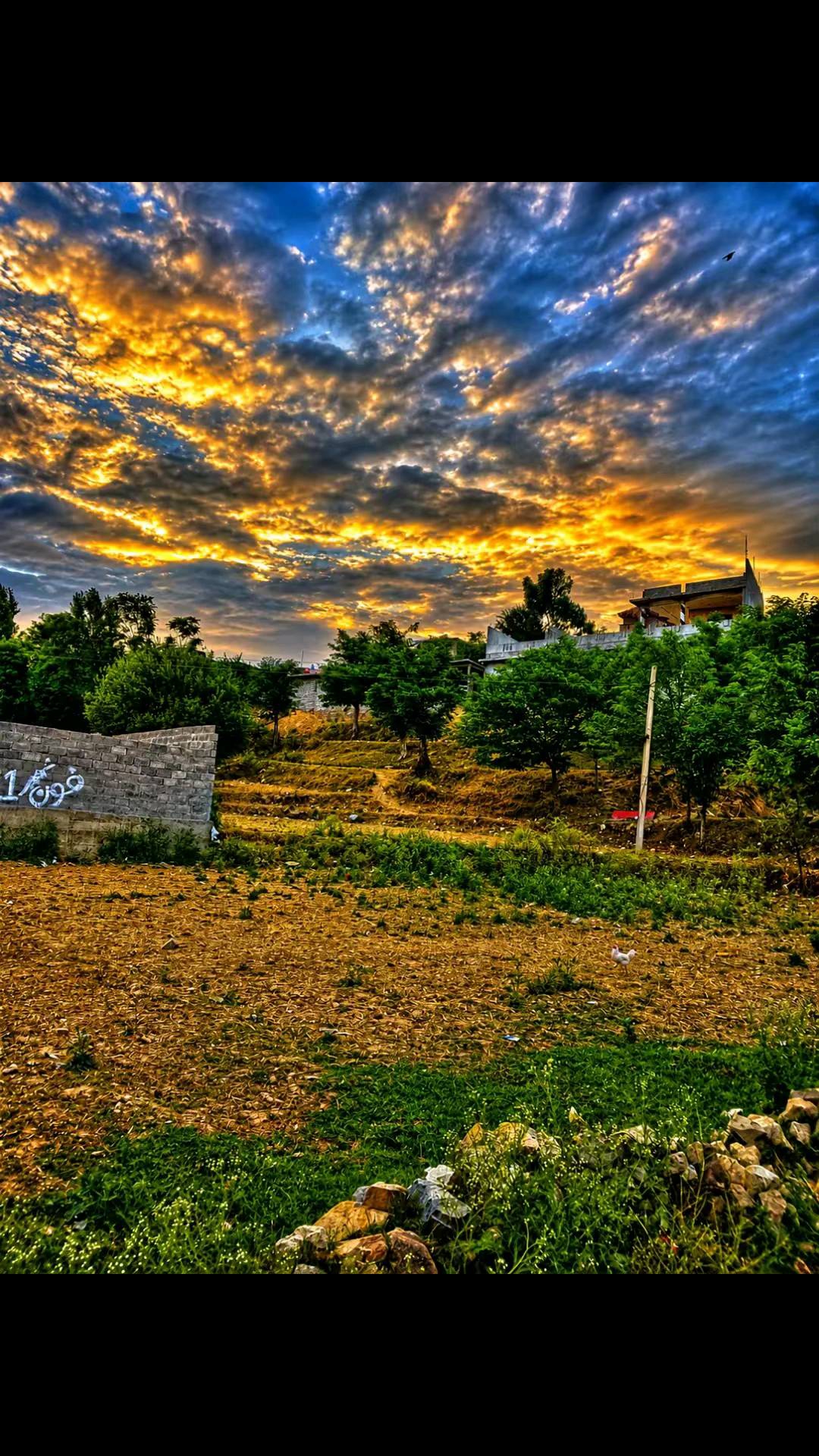@nasirhameed424