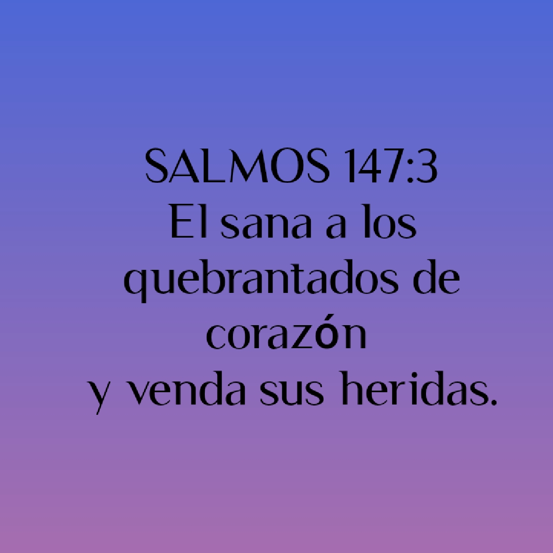 @SANTA BIBLIA