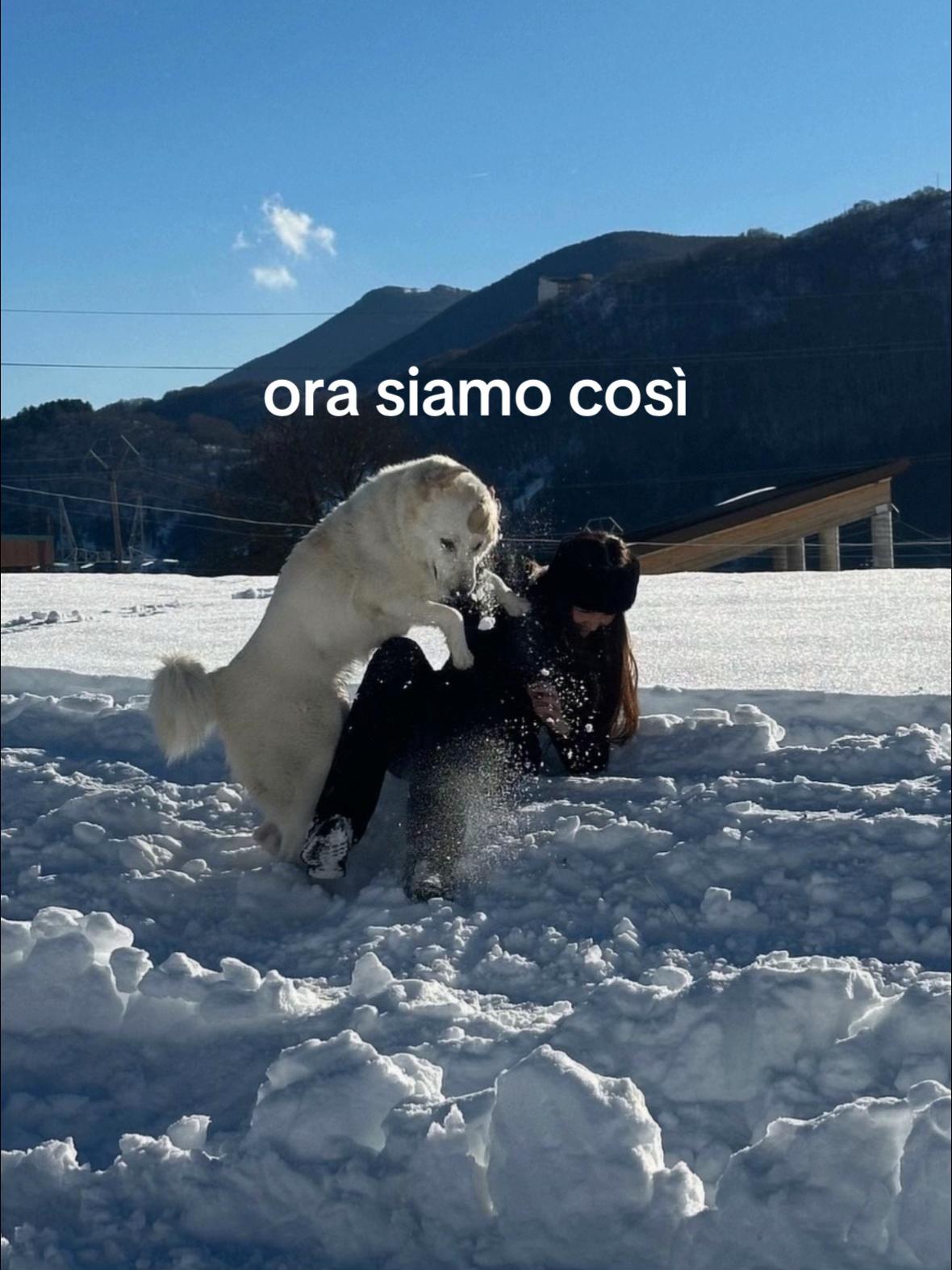 @Giorgia Capolongo