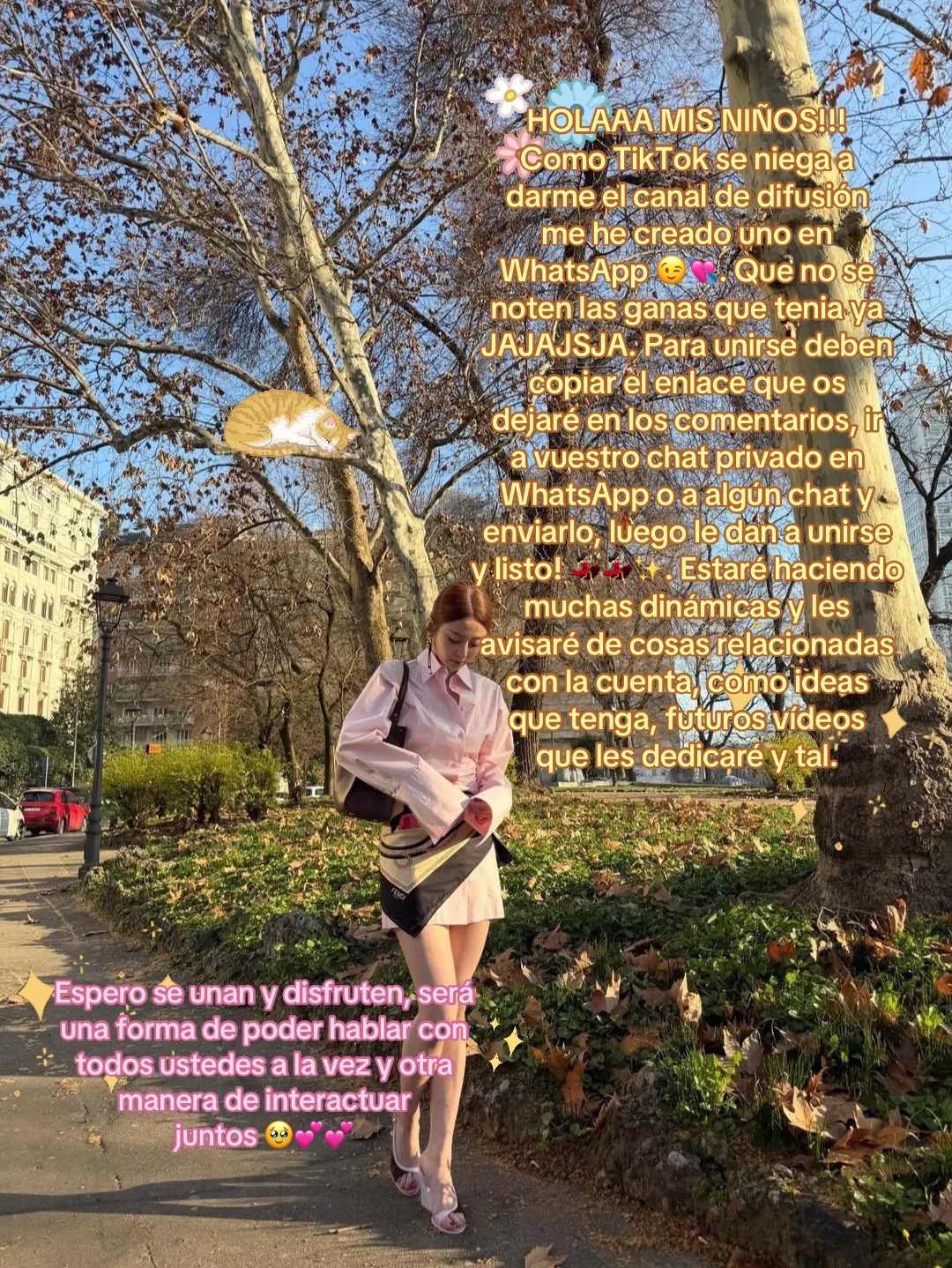 @｡ ^ &iexcl; cuenta de fancams ! &ordm; .