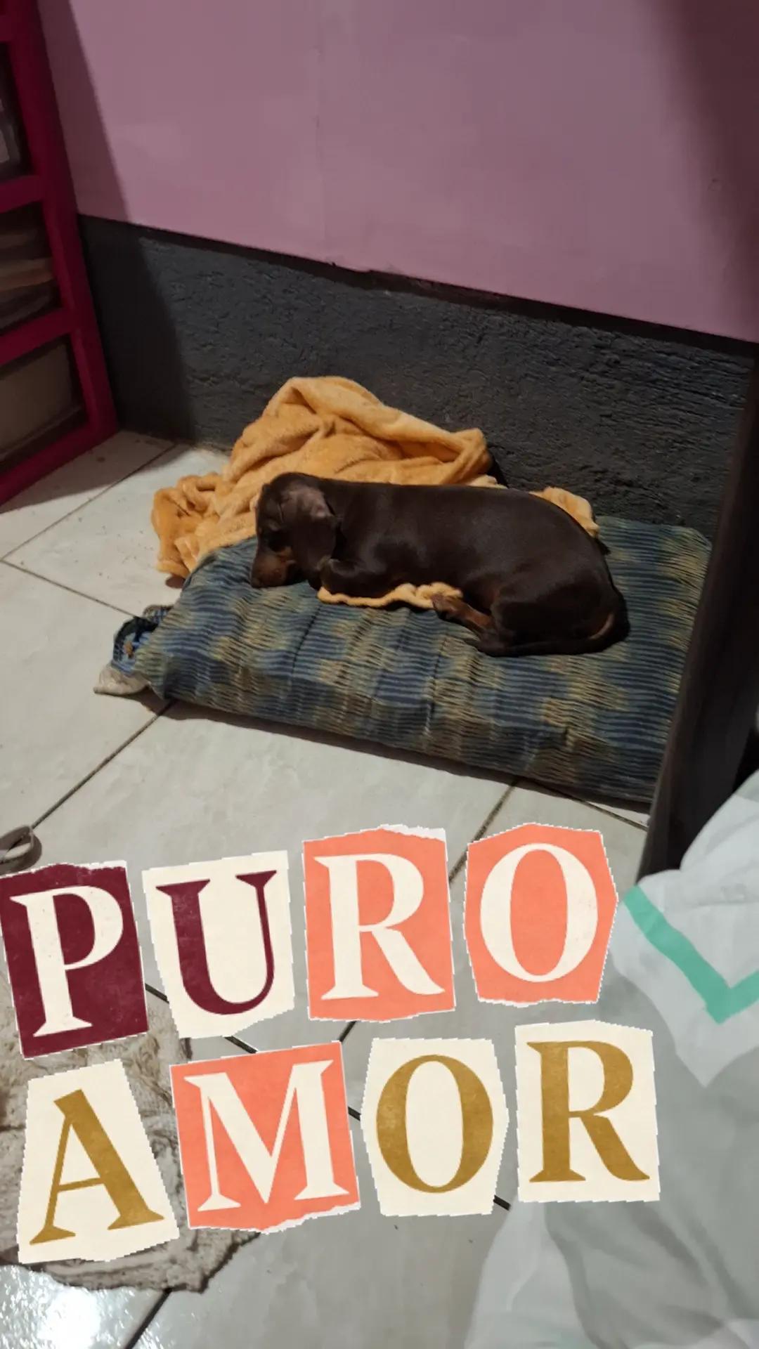 @Maricela Sanchez Flores