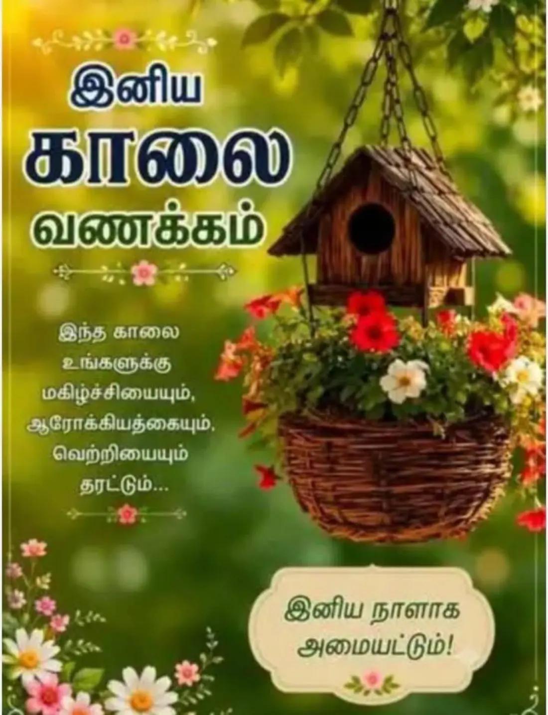 @❤️❤️ Chandran❤️🩹kokilavani