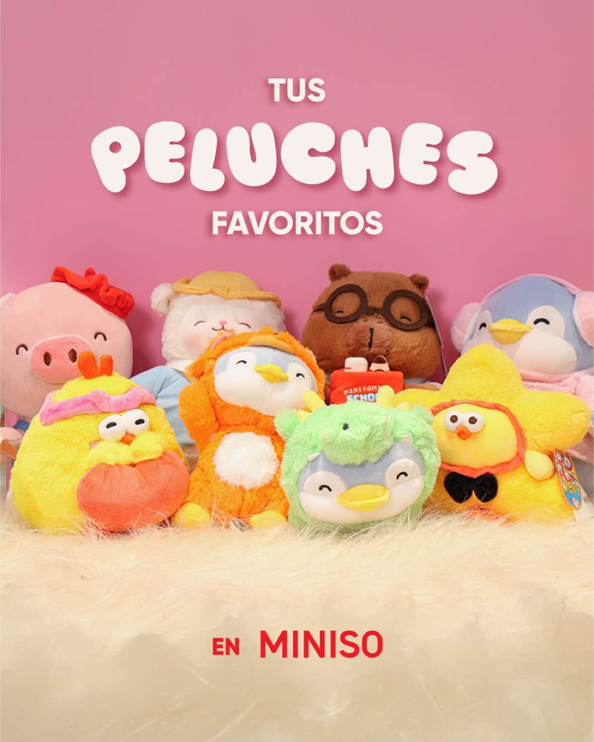 @Miniso Guatemala Oficial