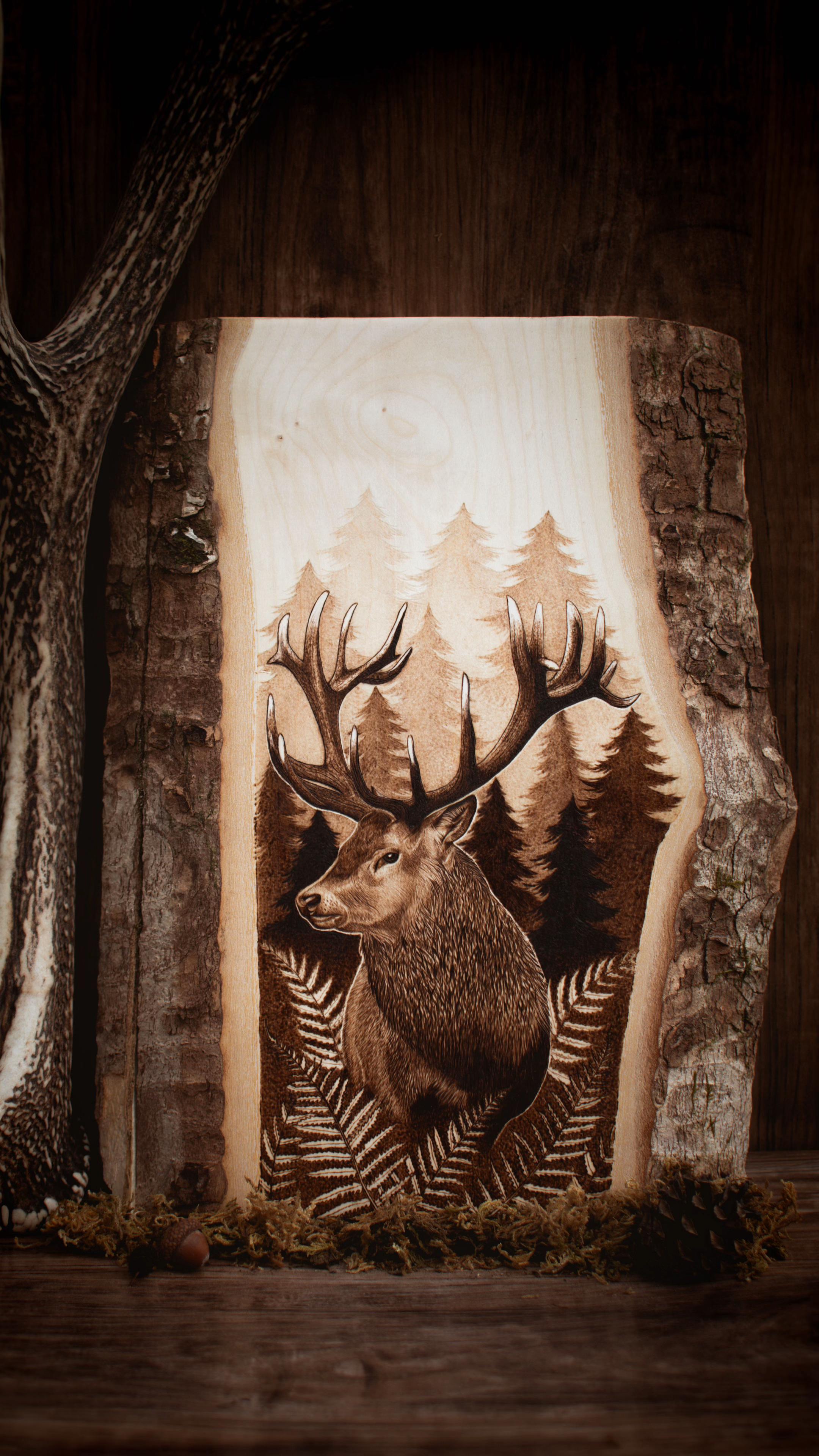 @SoWoodBurning