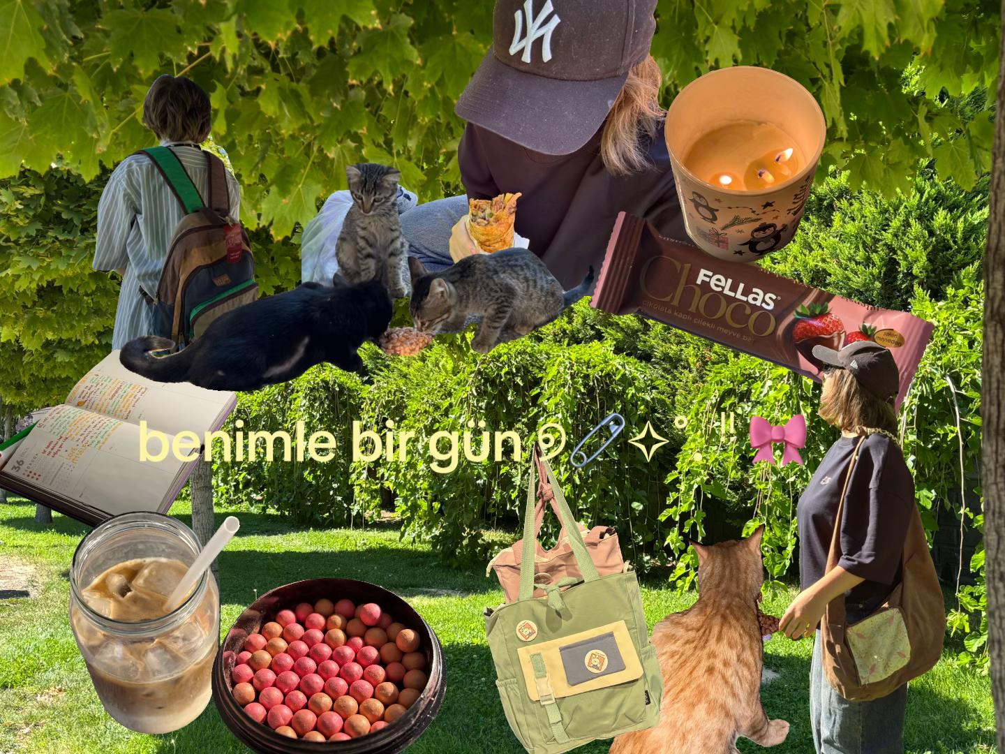 @bloguzi⋆˚꩜｡