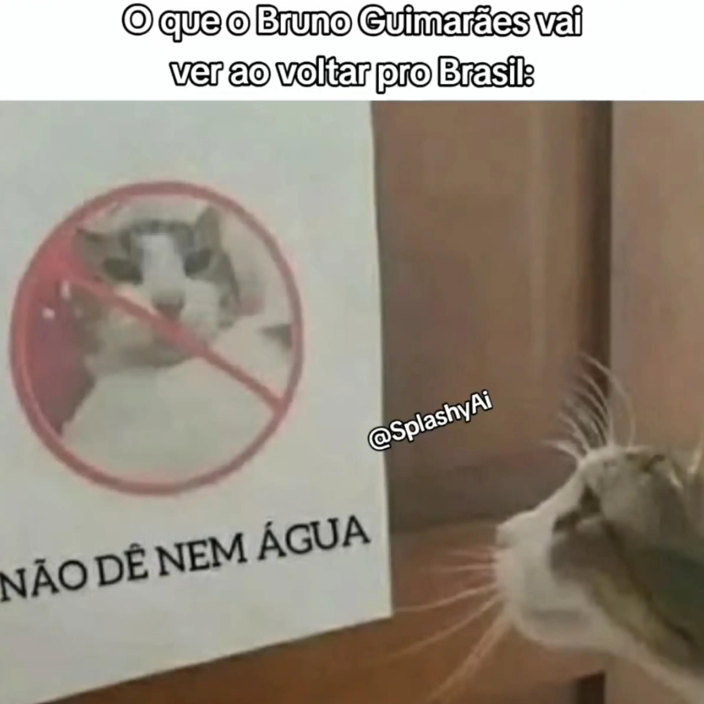 @SplashyAi