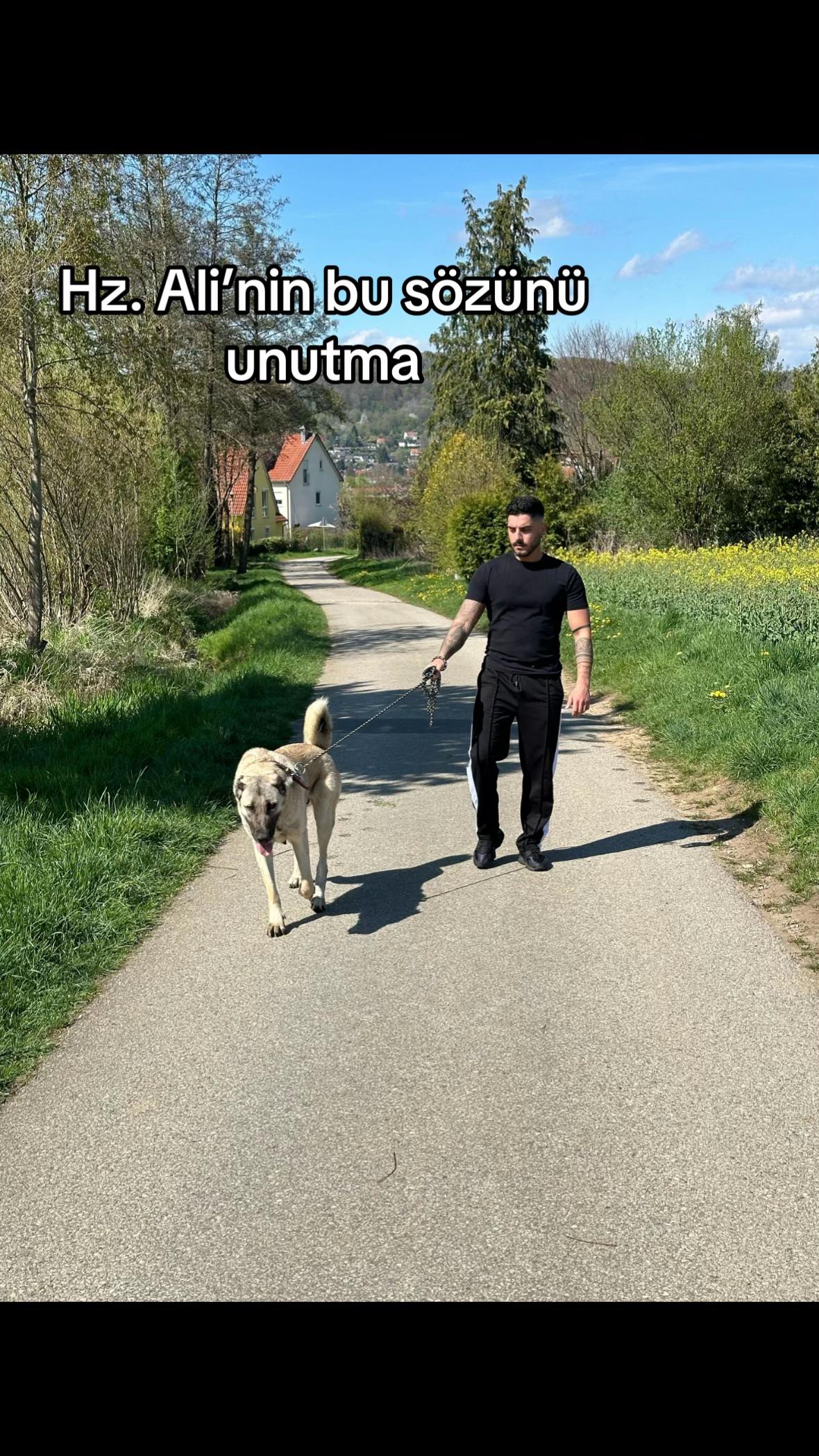 @Sinan