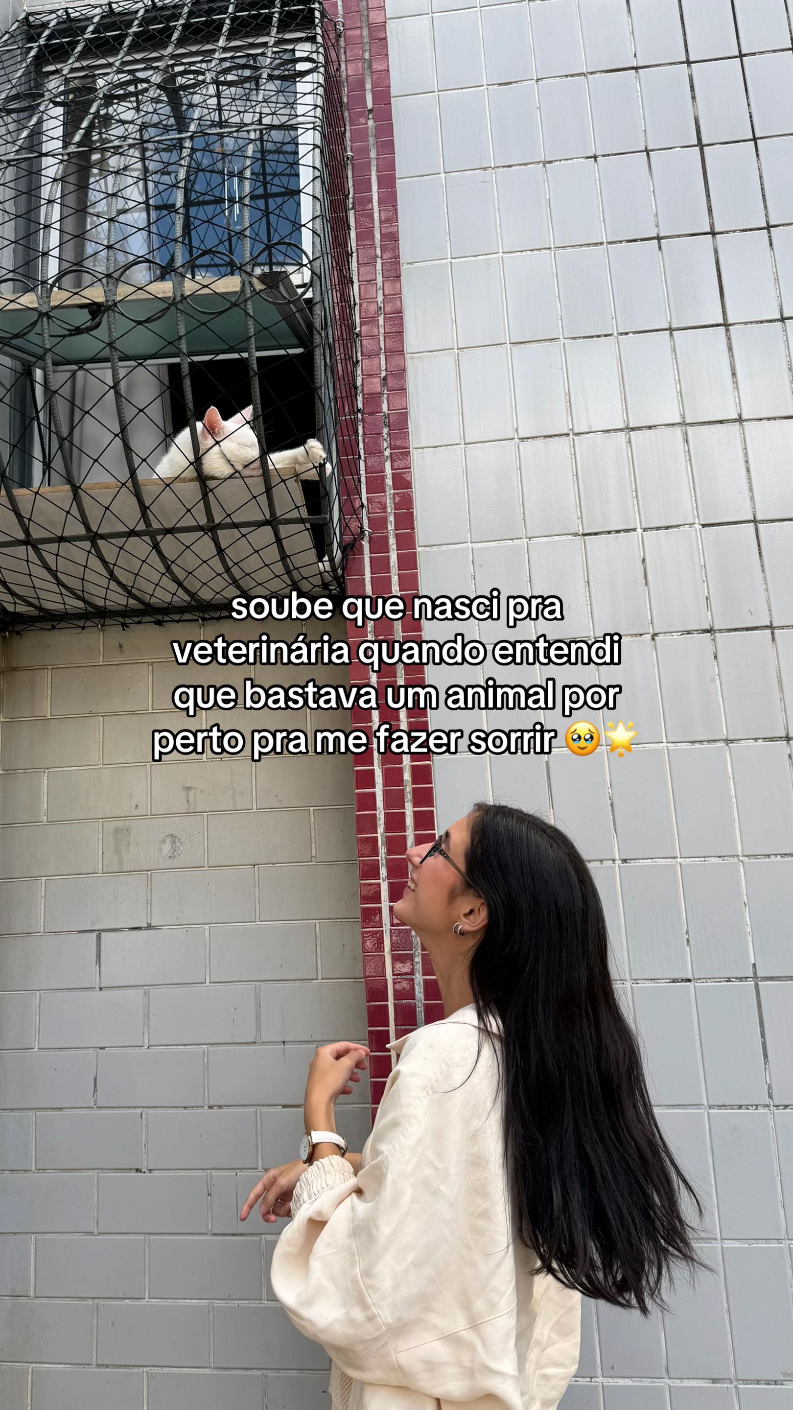@bella barreto
