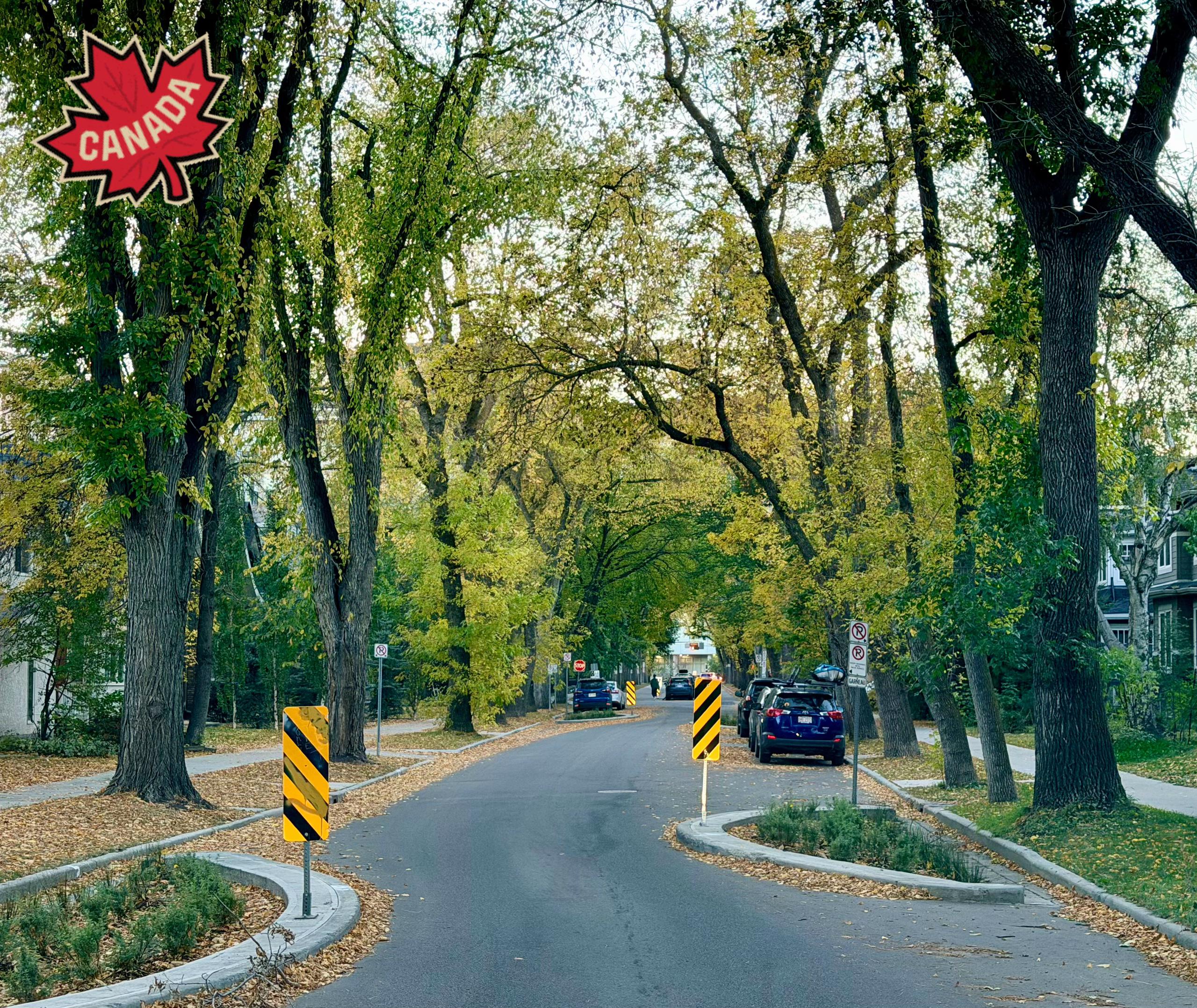 @🇦🇿HAJİYEV🇨🇦