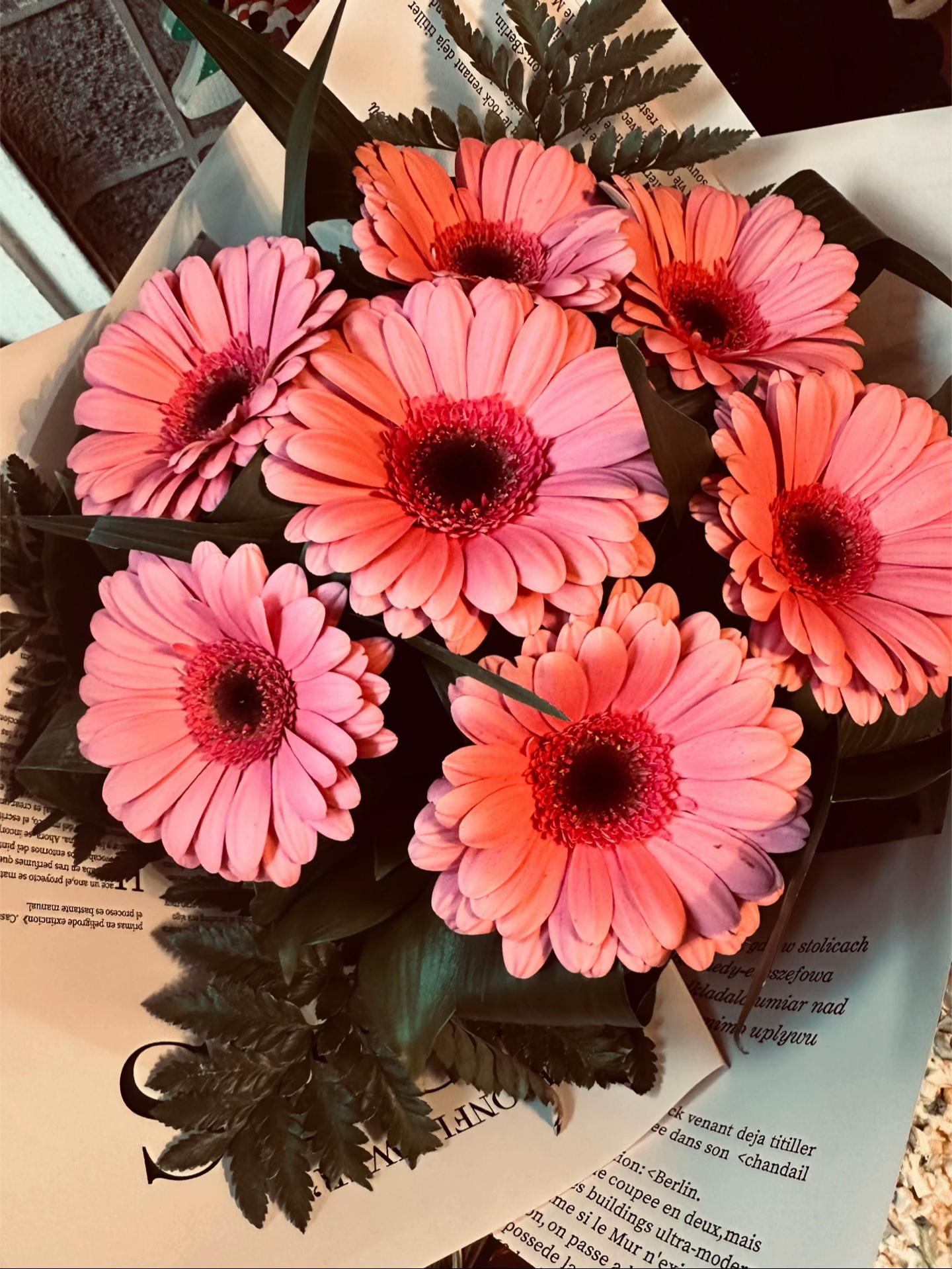 @𝒫ℴ𝓁𝒾𝓃𝒶 💋