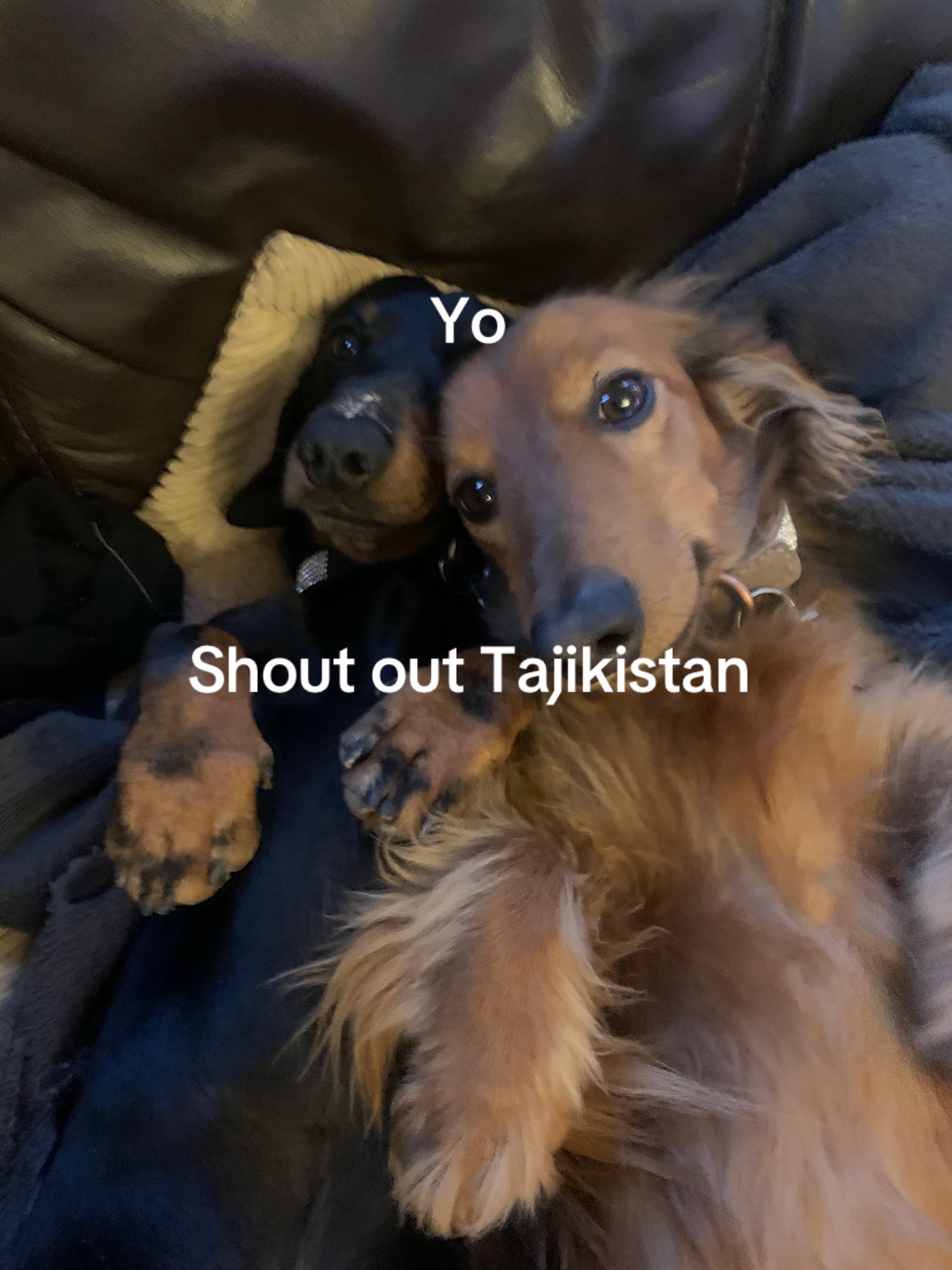 @Stan Zer0