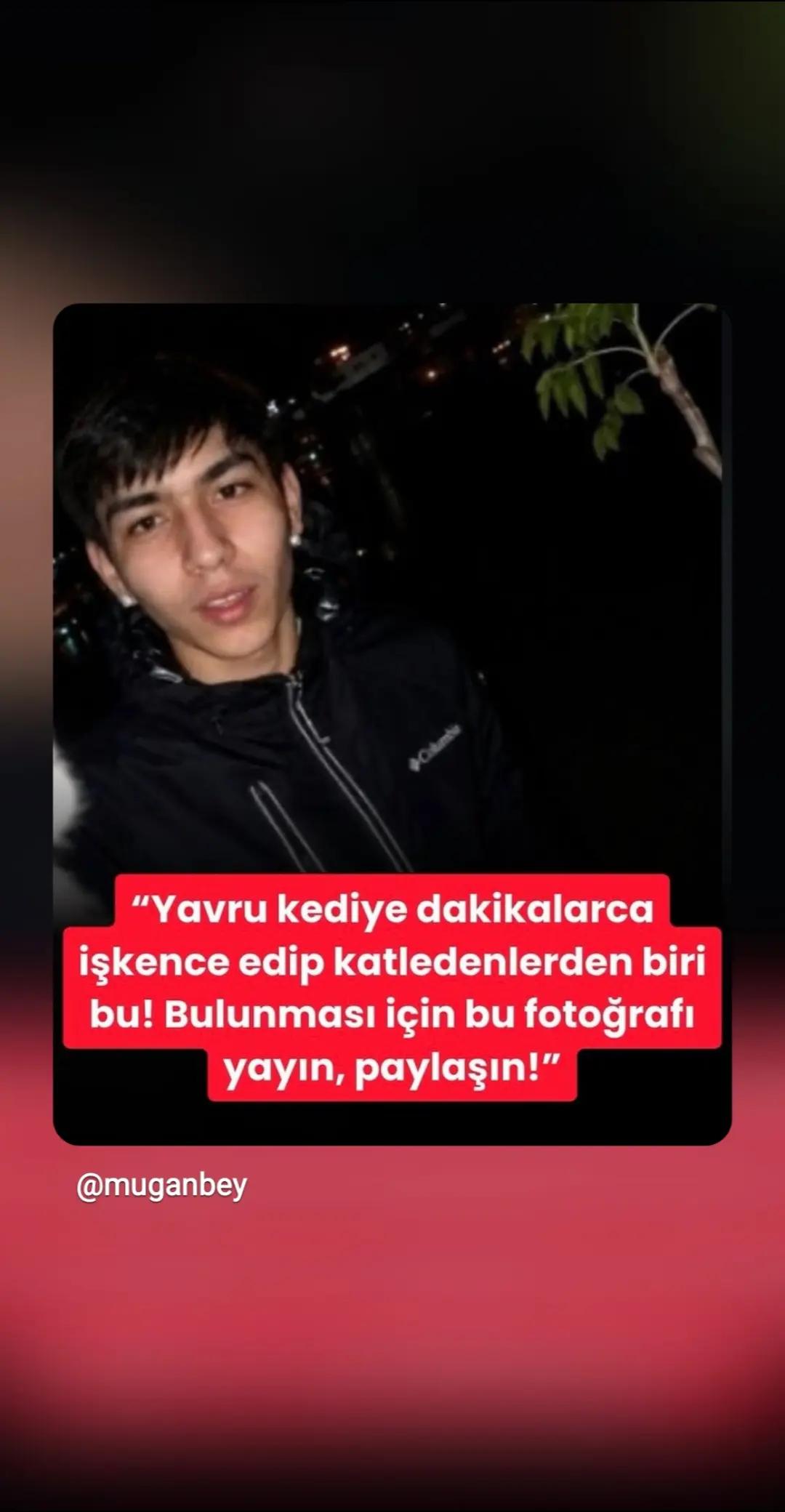 @İstanbul pati dunyasi