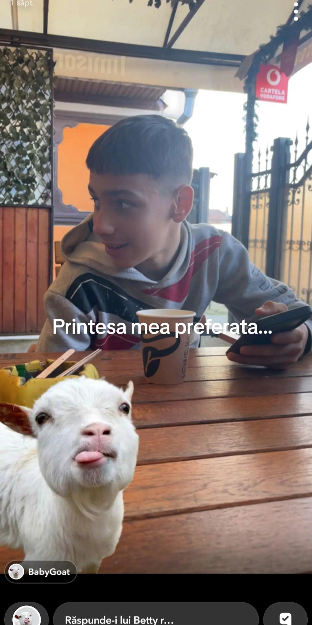 @alex.10