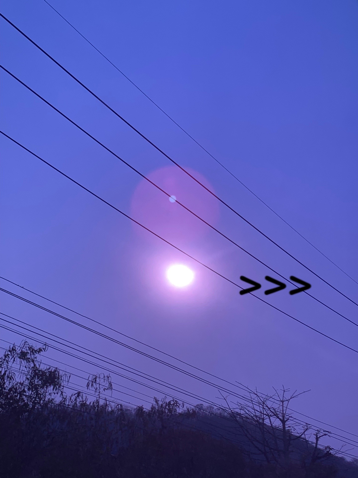@⋆. 𐙚˚࿔ Phun 𝜗𝜚˚⋆