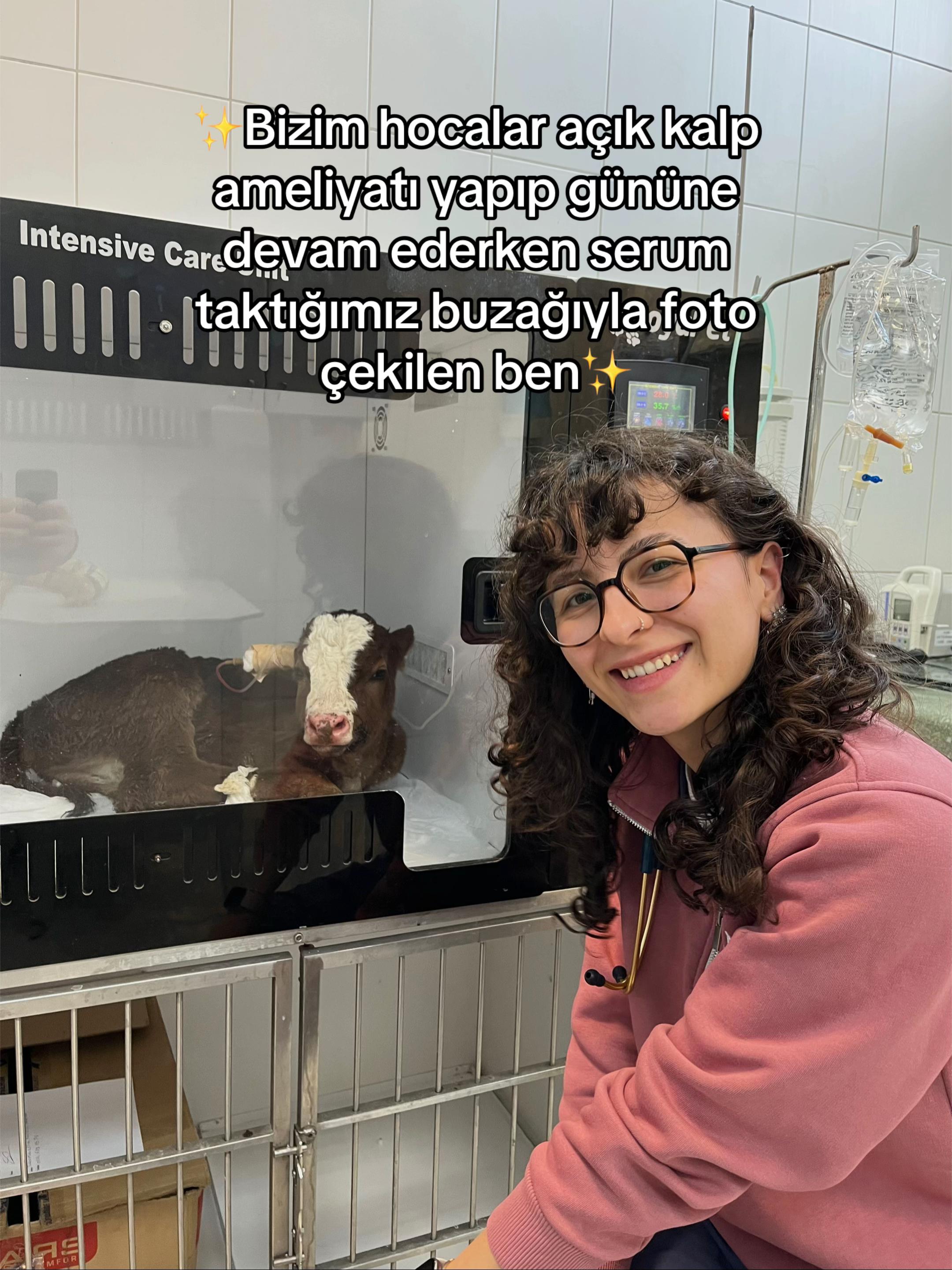 @vetmelo