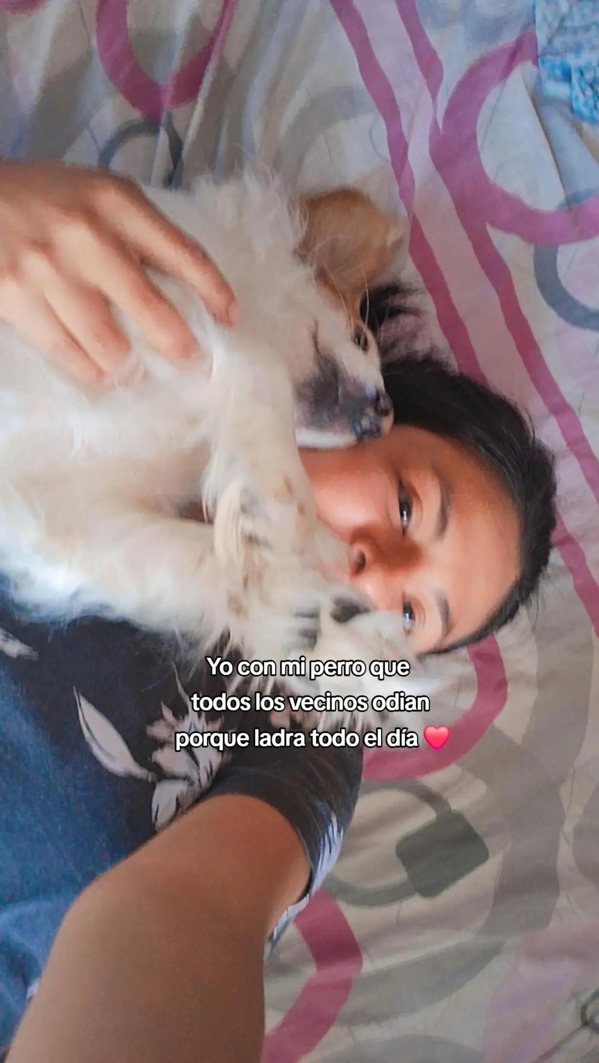 @Shirley Ruiz
