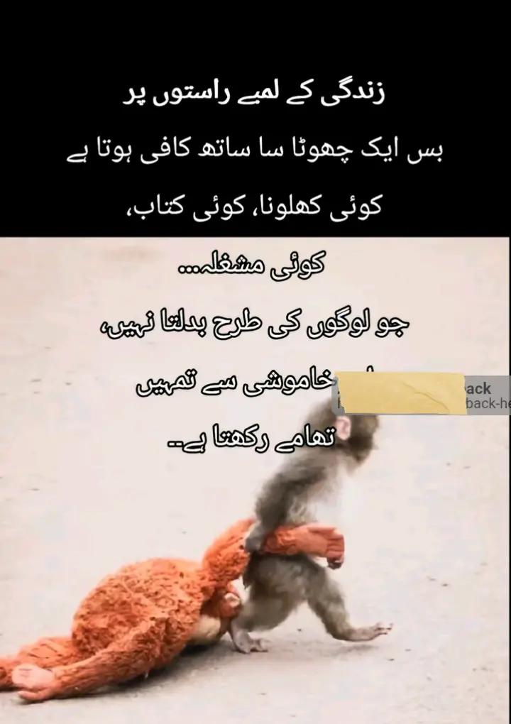@Rao786