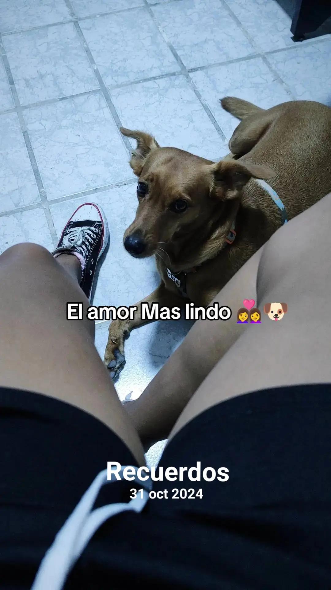 @La Zambrano