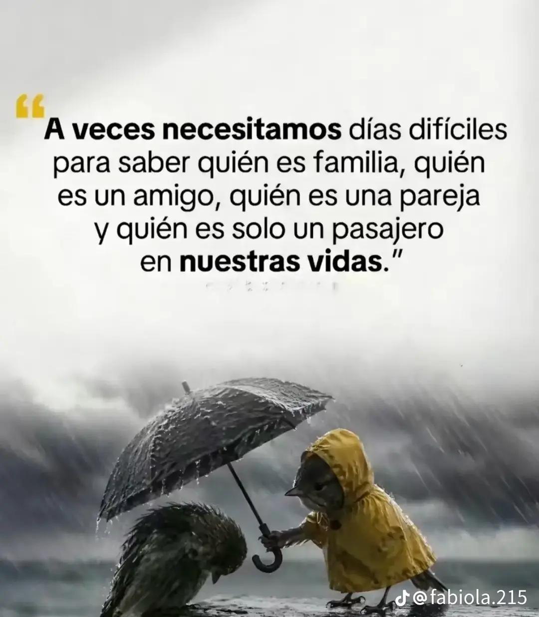 @Yudith Lopez