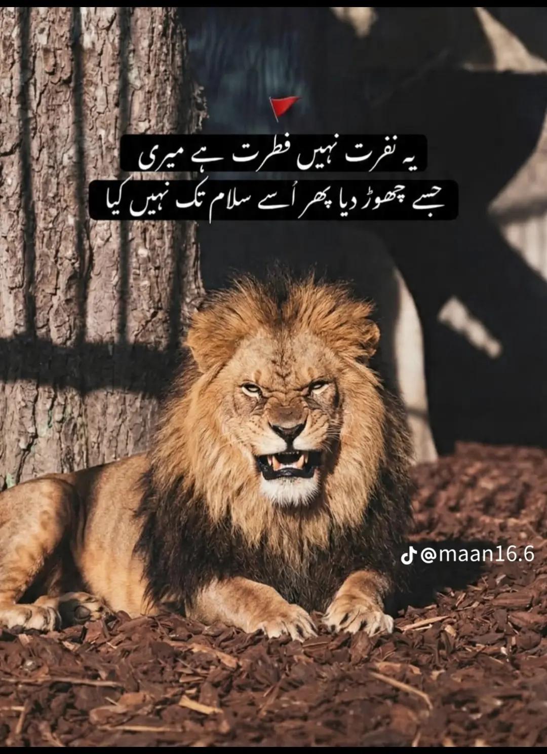 @its SAHIL 295👑😎