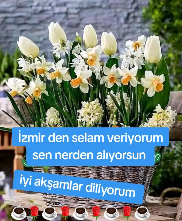 @🇹🇷Yasemin 01 35🇹🇷