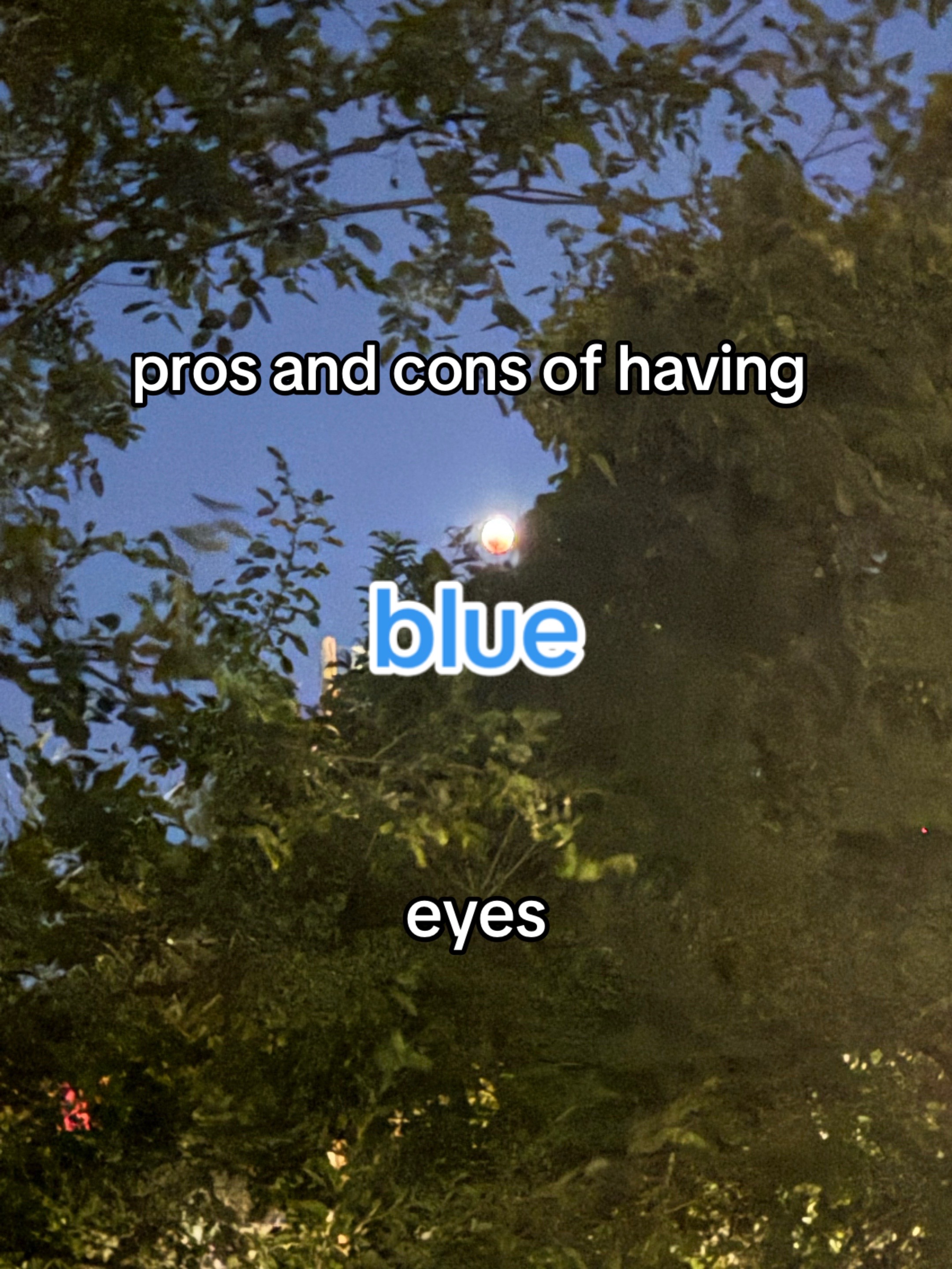 @𝕷𝖔𝖌𝖆𝖓 𝕶𝖊𝖗𝖗 🥊🥋