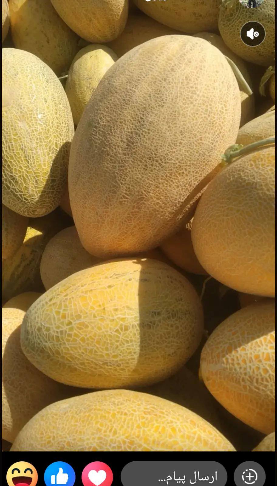 @حکیم کندزی 🎼🇦🇫
