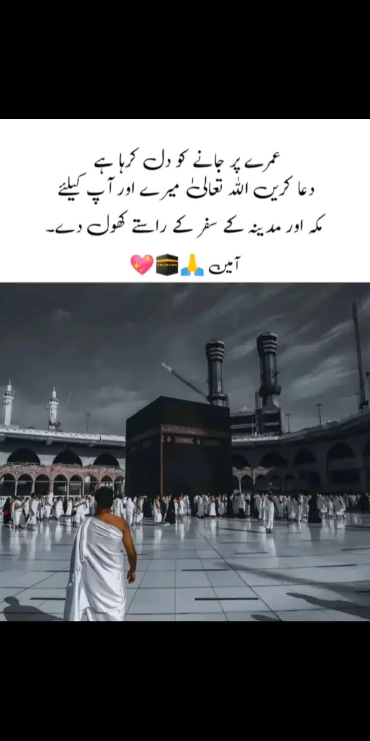 @NomanSheikh157