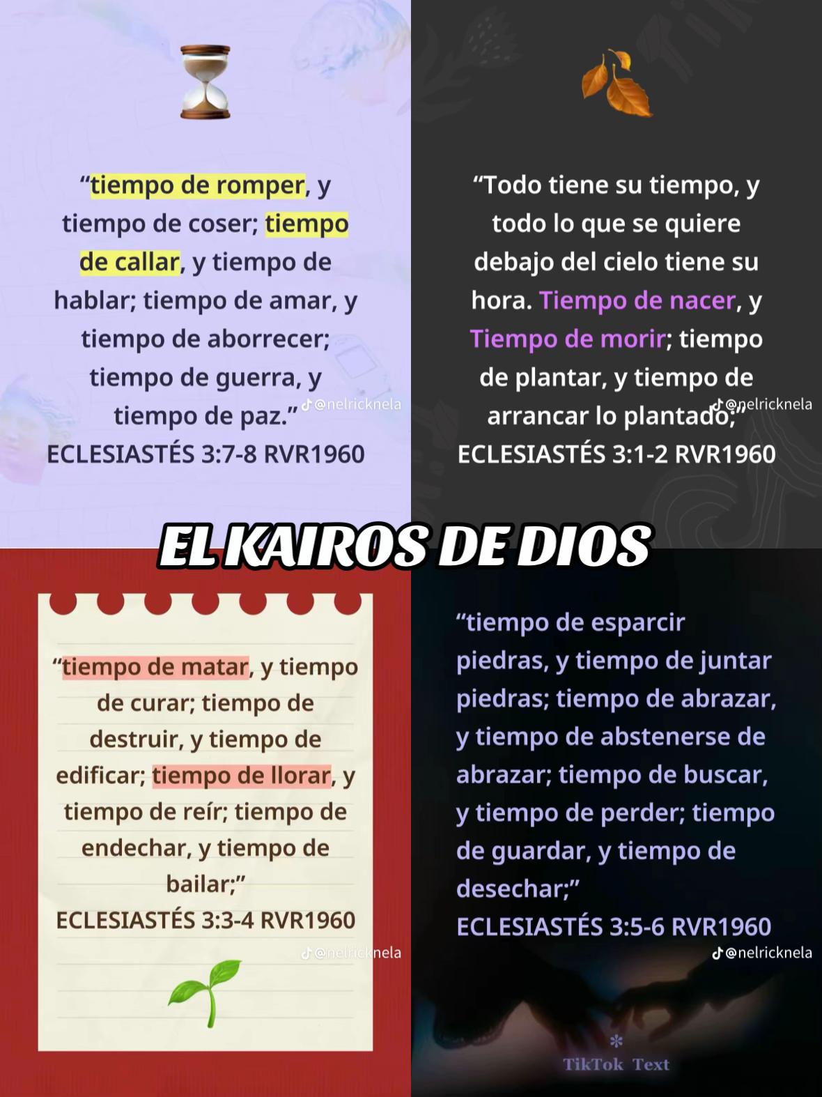 @Leonardy Tarazona