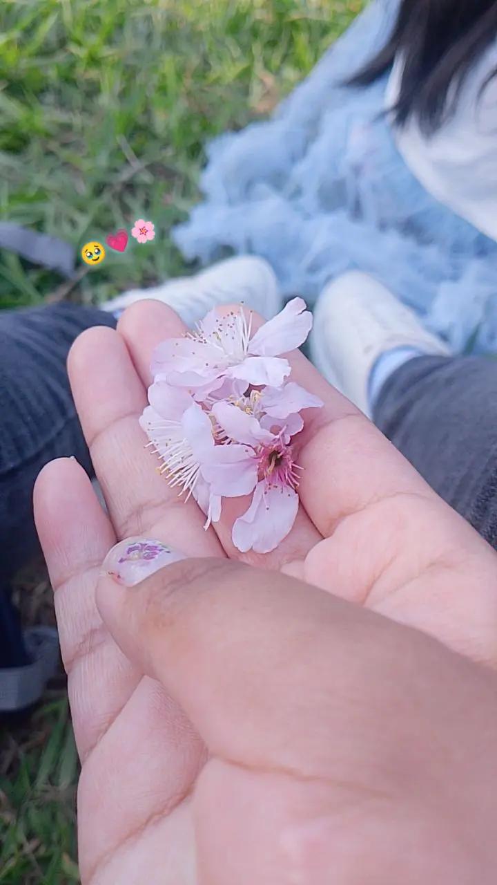 @liz_lr5