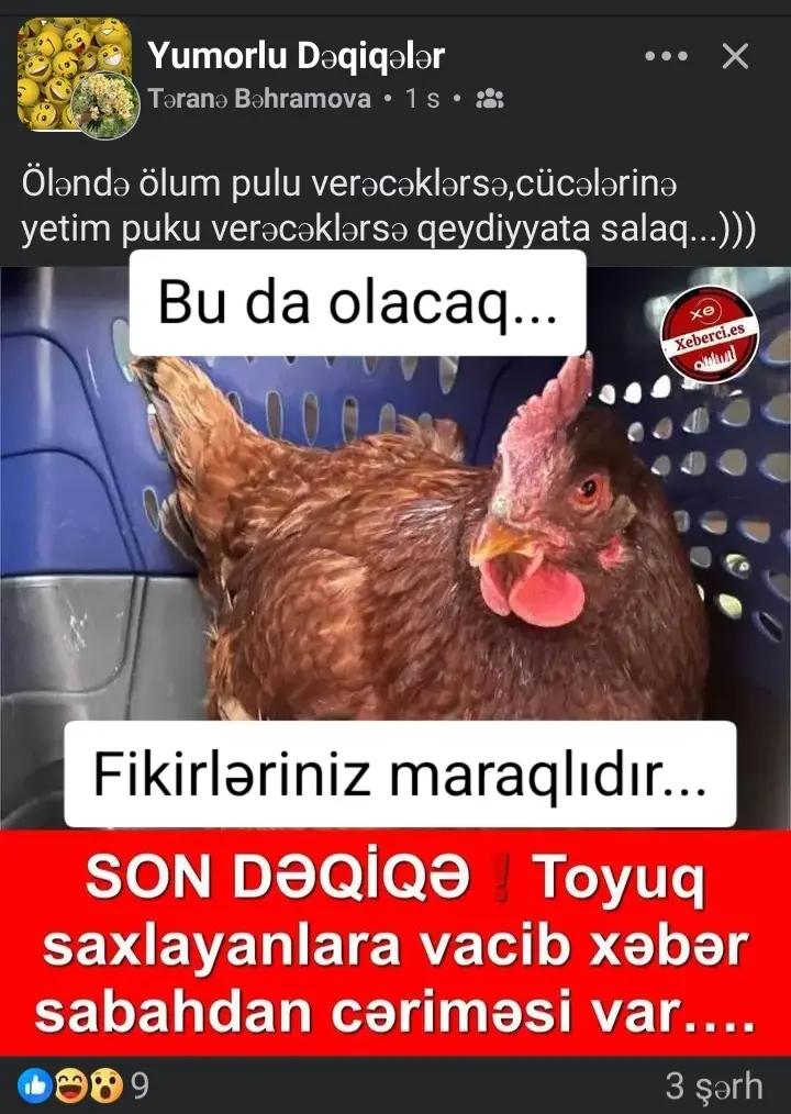 @gulchoxra bibi