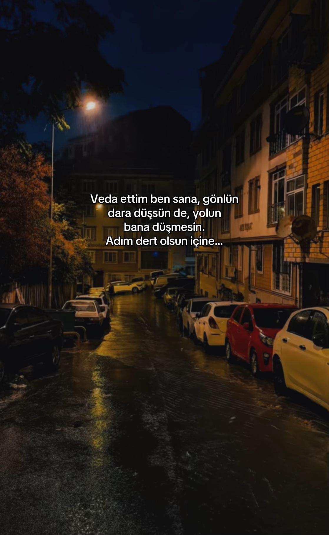 @seviyorgibiydin24