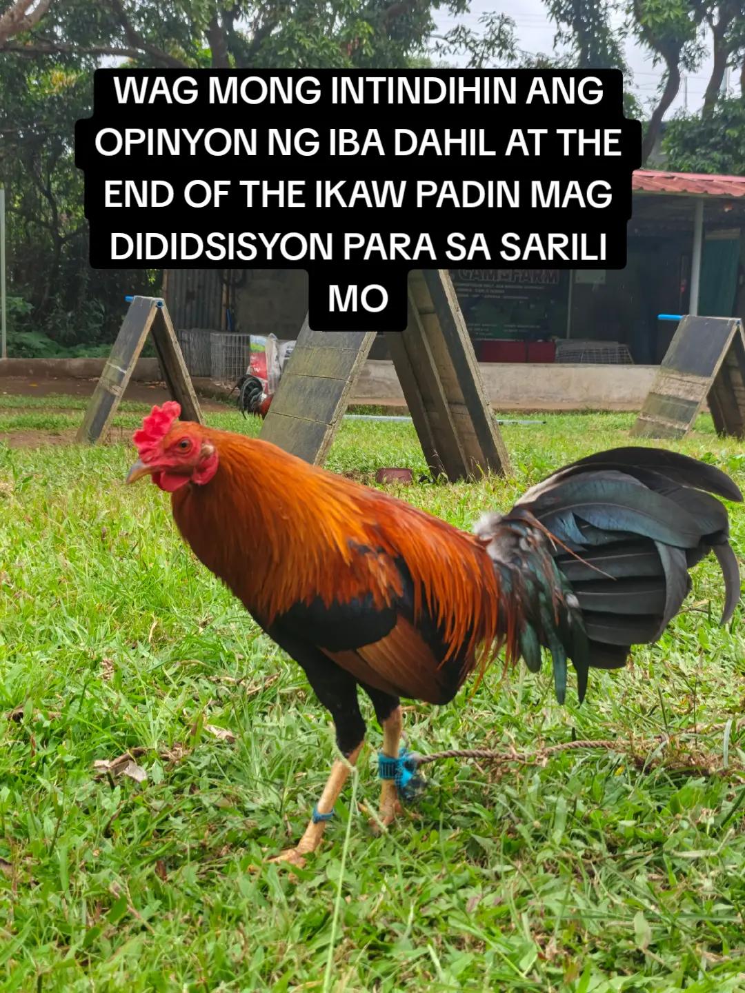 @EDUKADONG SABUNGERO