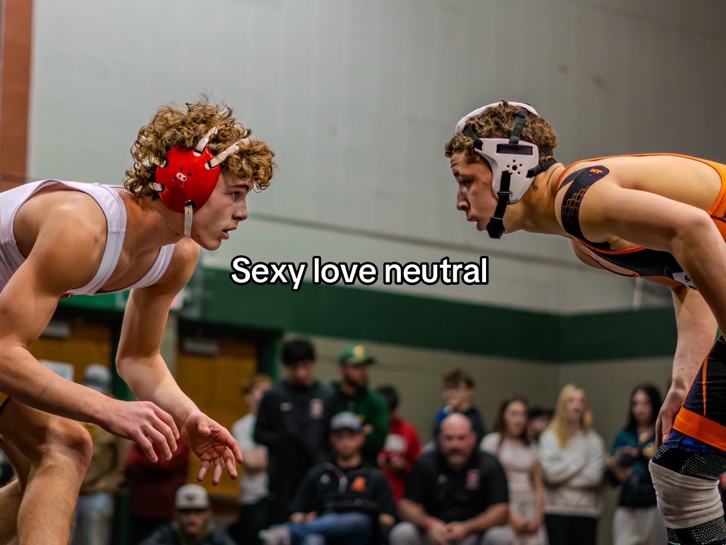 @devastating.wrestles