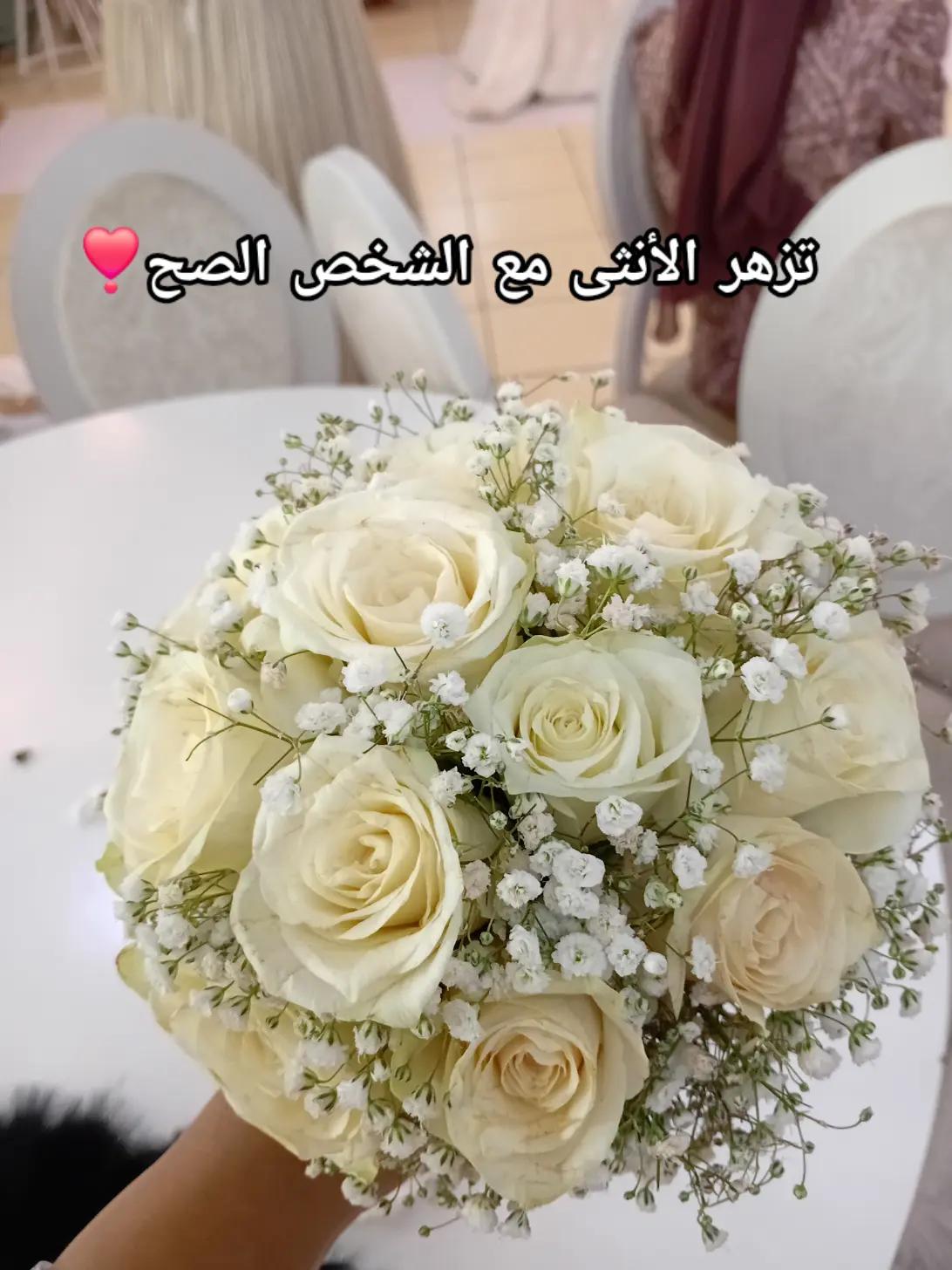 @Chay Mouta