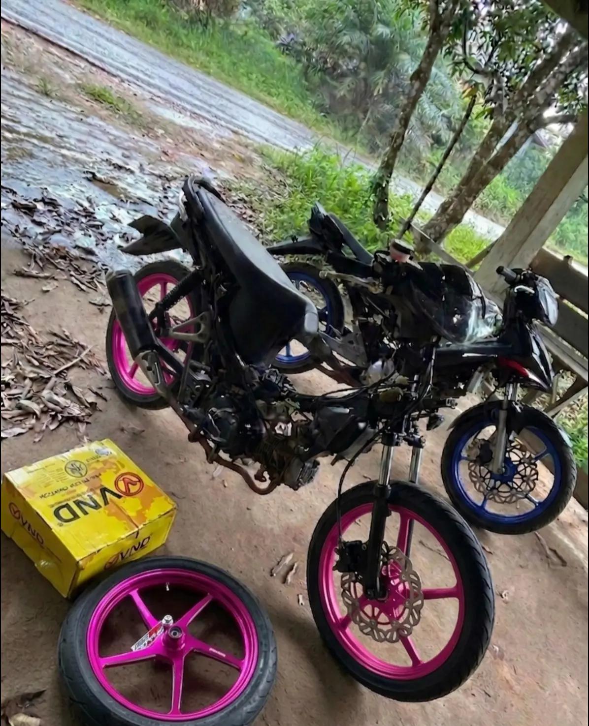 @revo absolute🚀