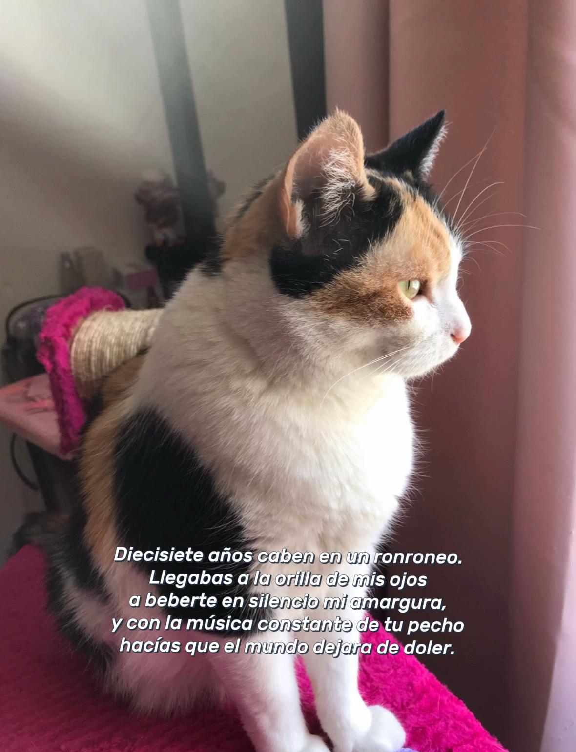 @Mariana Trinidad