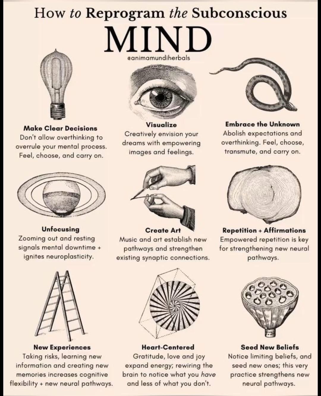 @Self_Inspired