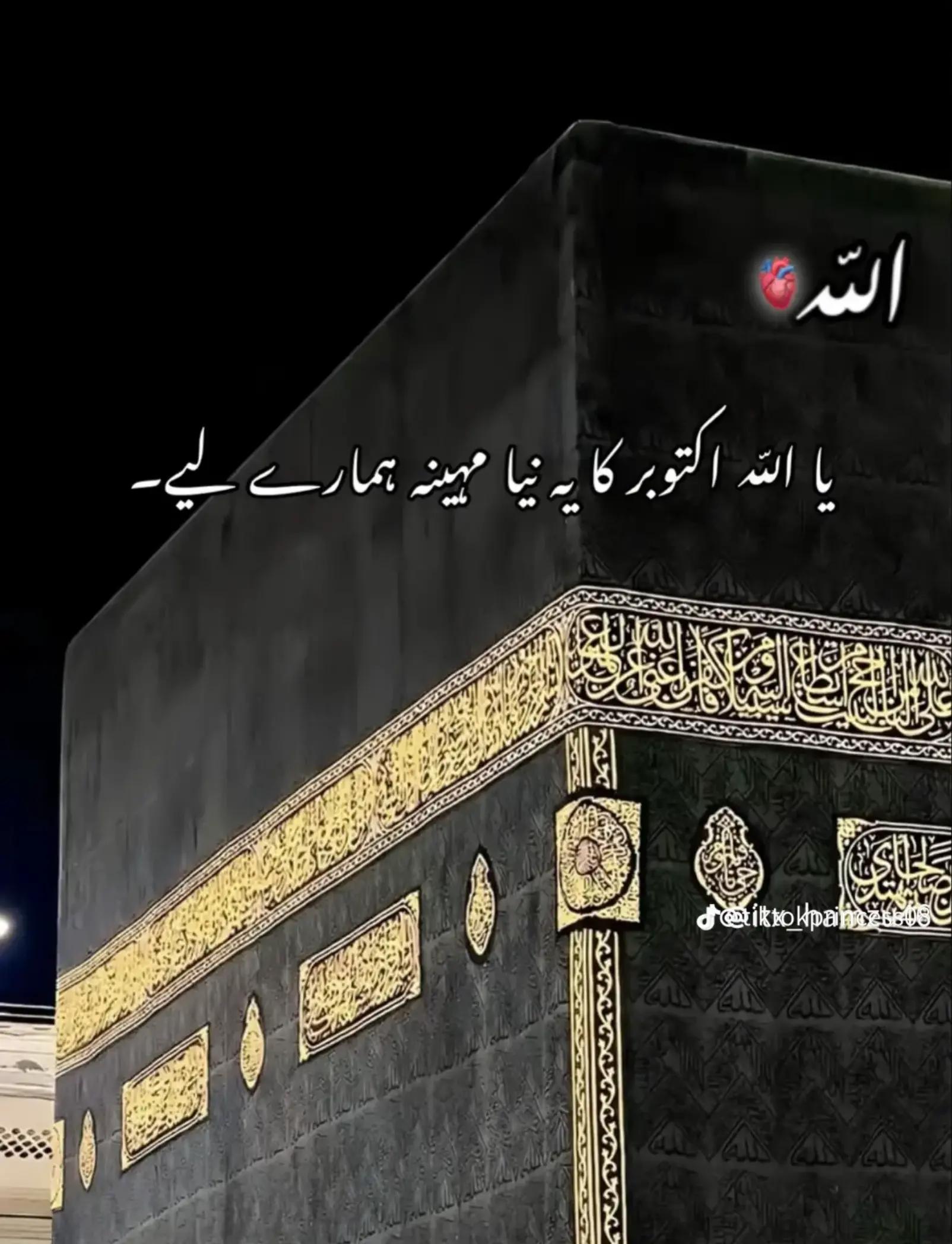 @Kot Mehmood❤️😍😍