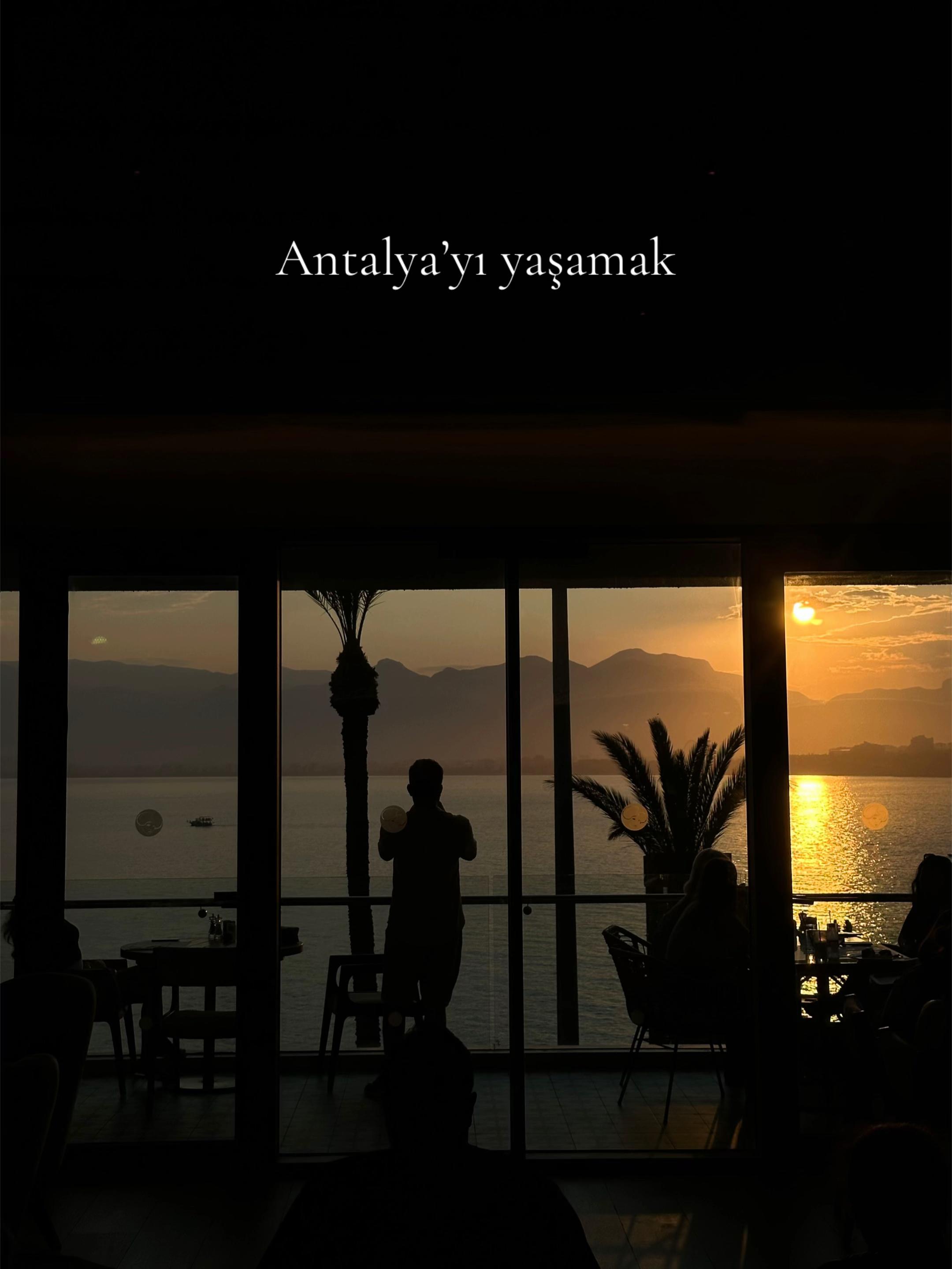 @Talat AKIL