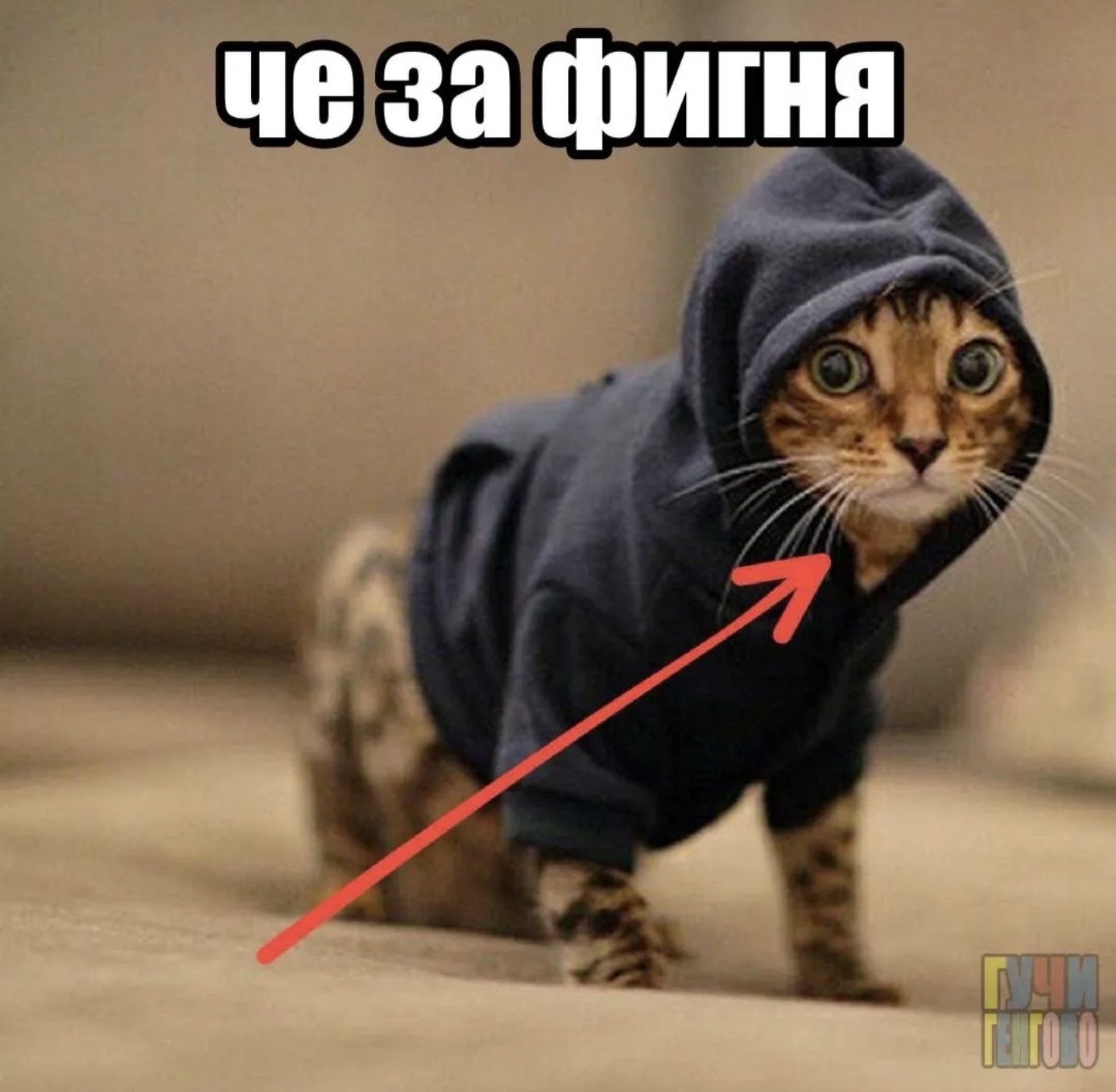 @😺