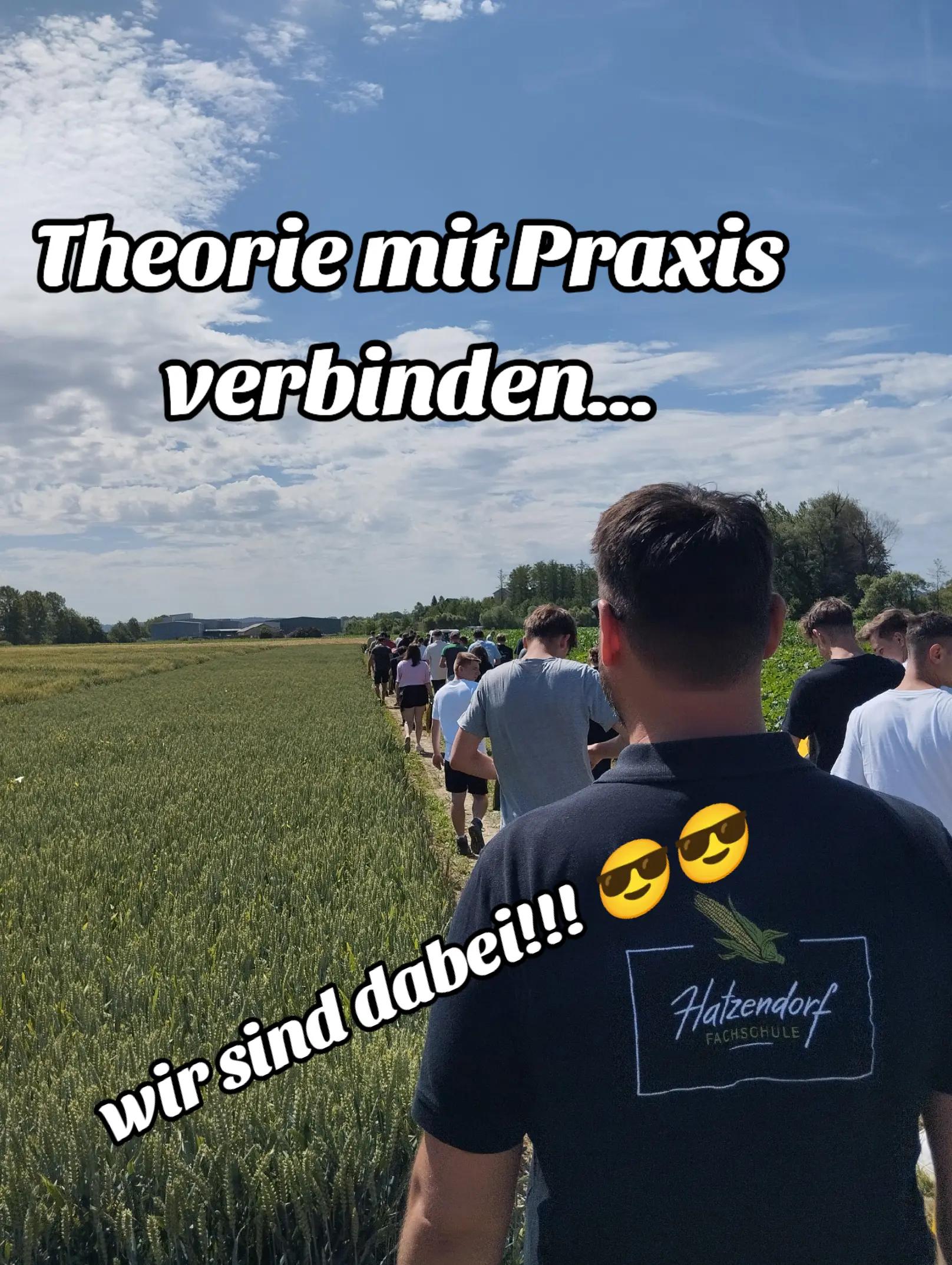 @LFS Hatzendorf