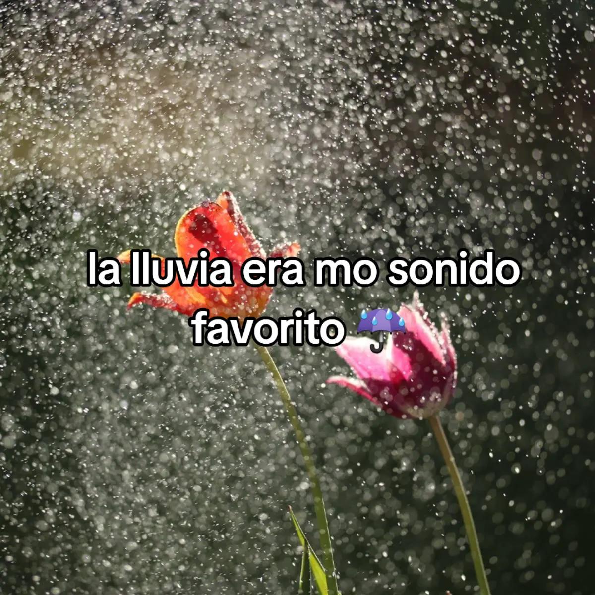 @yz.125.x😍