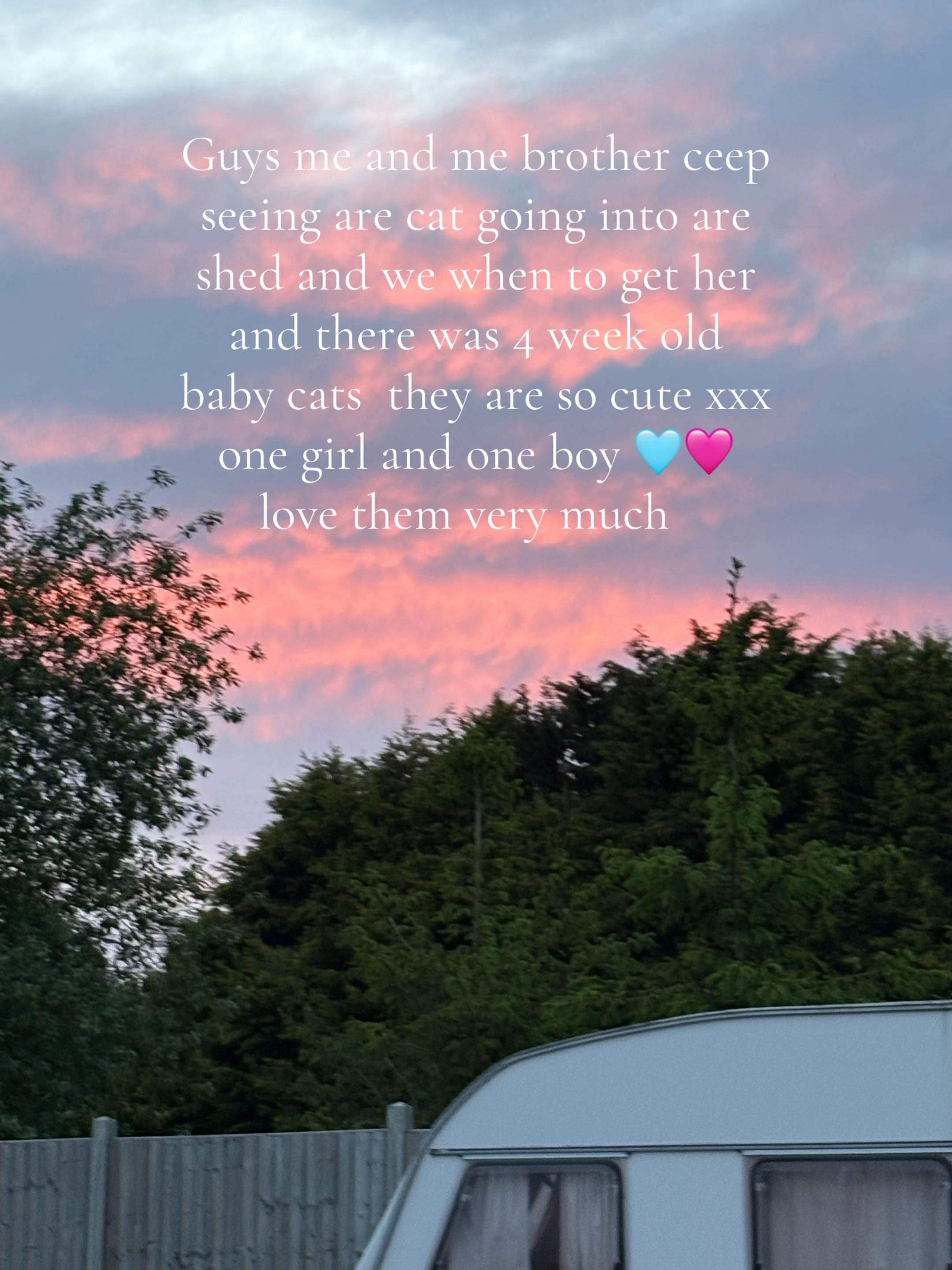 @xgonebye2026x